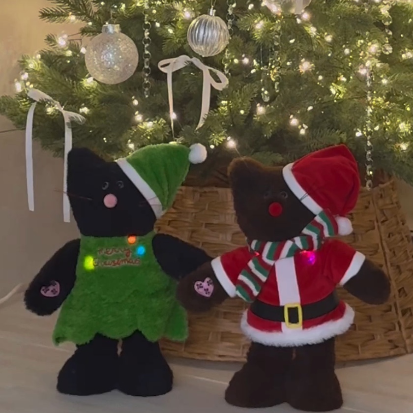Monamhee Dancing Bred Brown, Monamhee Dancing Beulpingi Black 착용 스타일