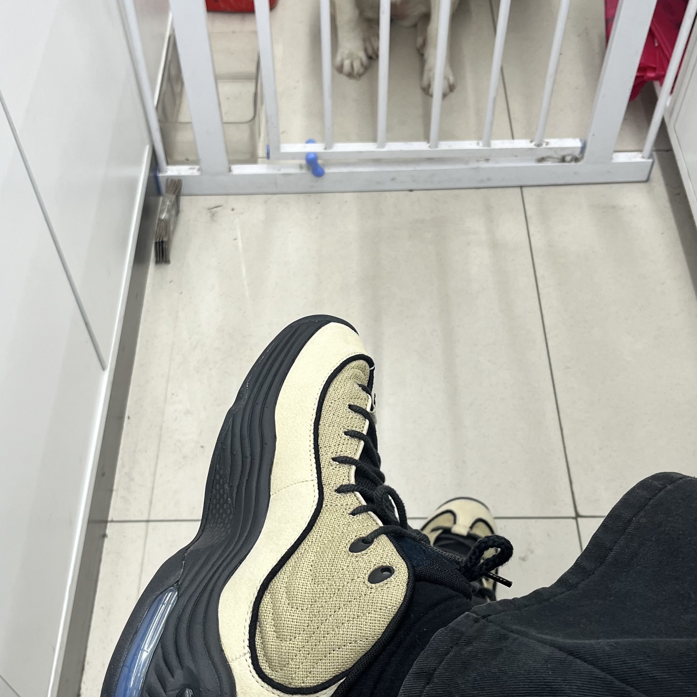 Nike x Stussy Air Penny II Rattan and Limestone, Nike x Stussy Air Penny II Black 착용 스타일 - 1