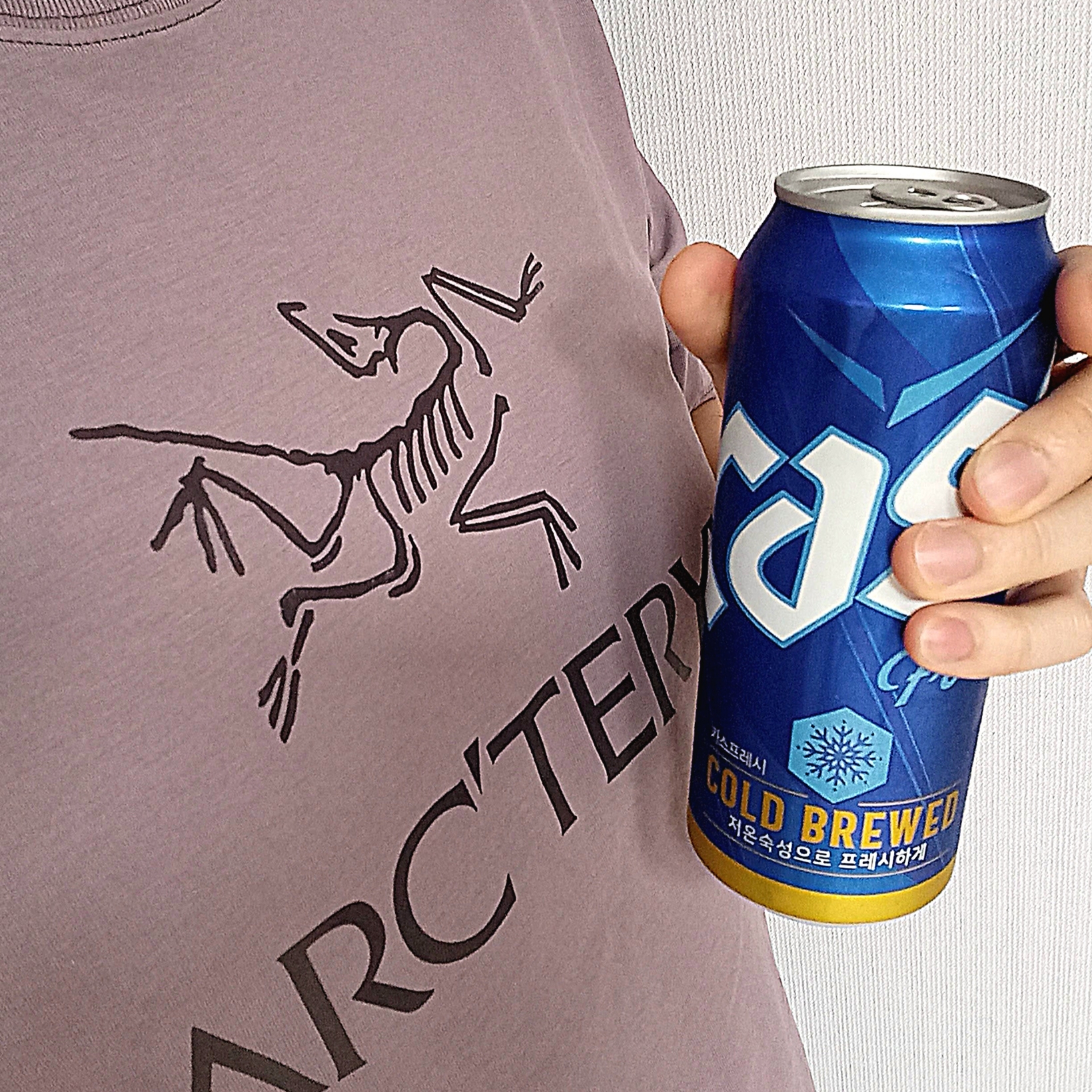 Arc'teryx Arc'word Logo SS T-Shirt Interstellar Phantasm 착용 스타일 - 1