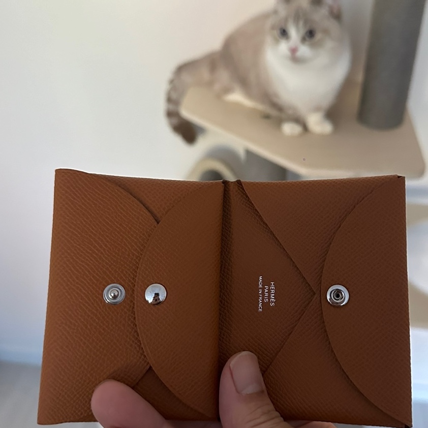 Hermes Calvi Duo Card Holder Epsom & Palladium Gold 착용 스타일