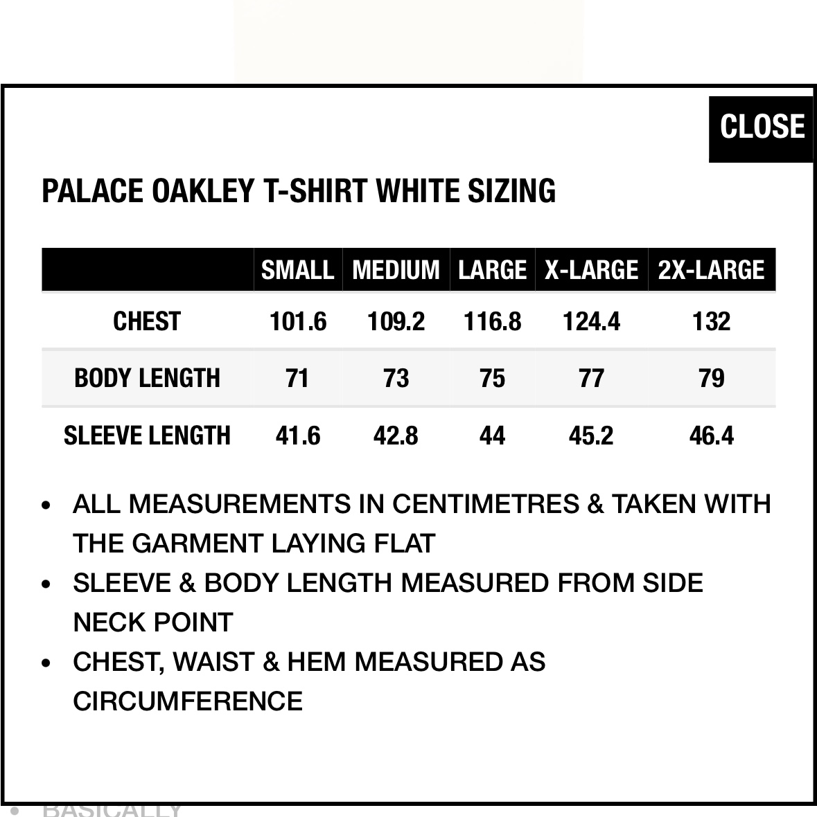 Palace x Oakley T-Shirt White - 24FW 착용 스타일 - 2