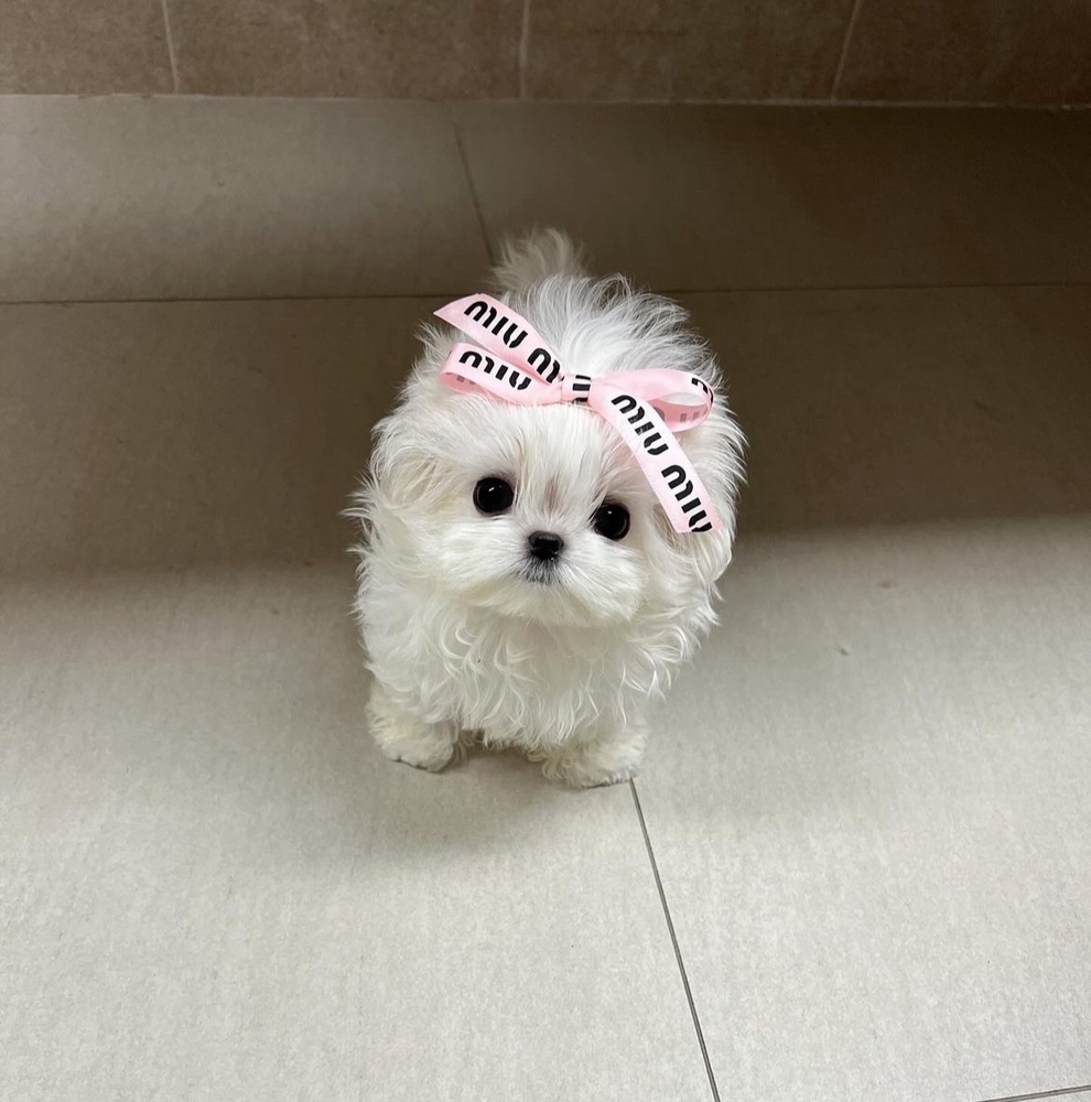 KREAM 프로필 이미지