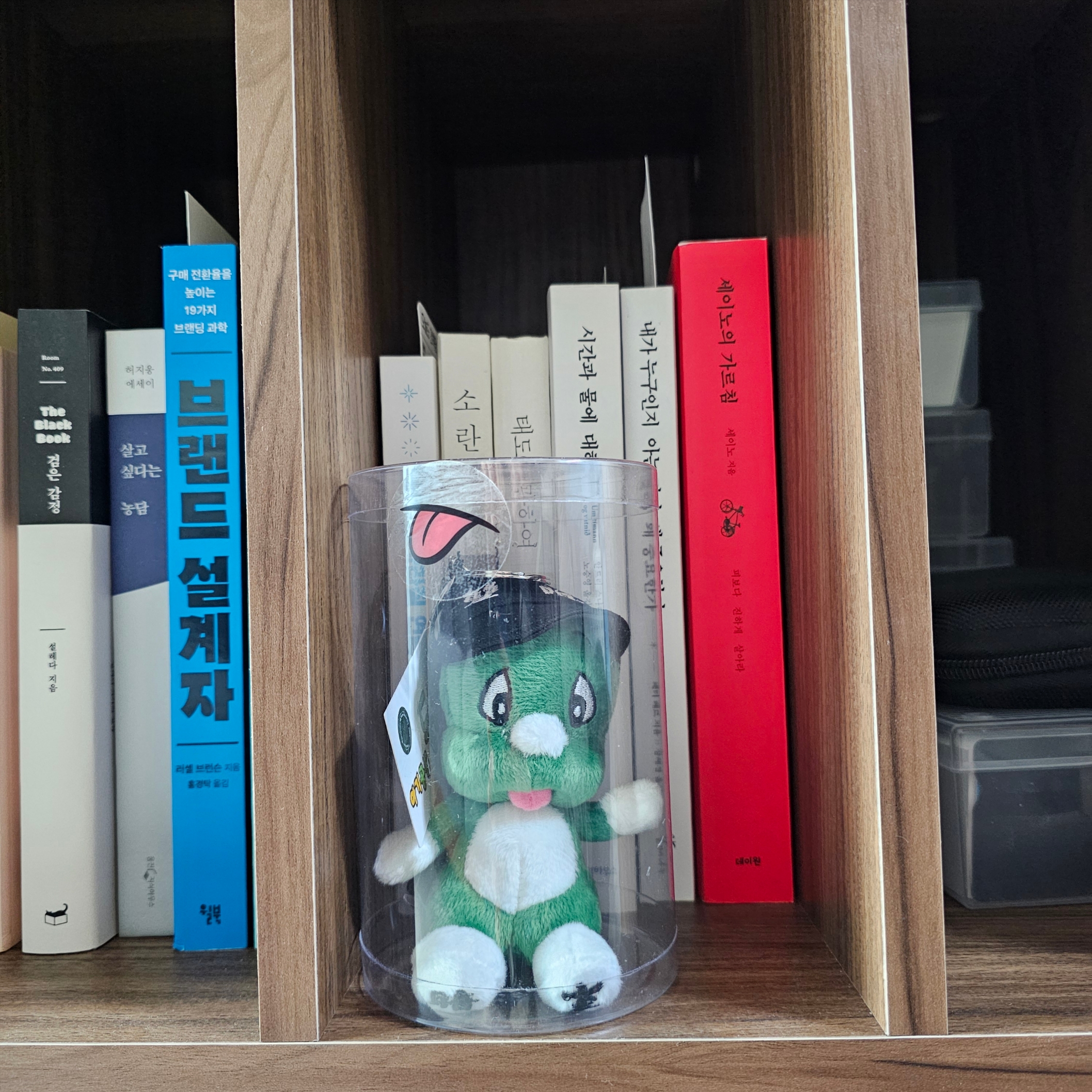 Darkr8m Studio x Dooly Ssangmun Dooly Keyring Green 착용 스타일
