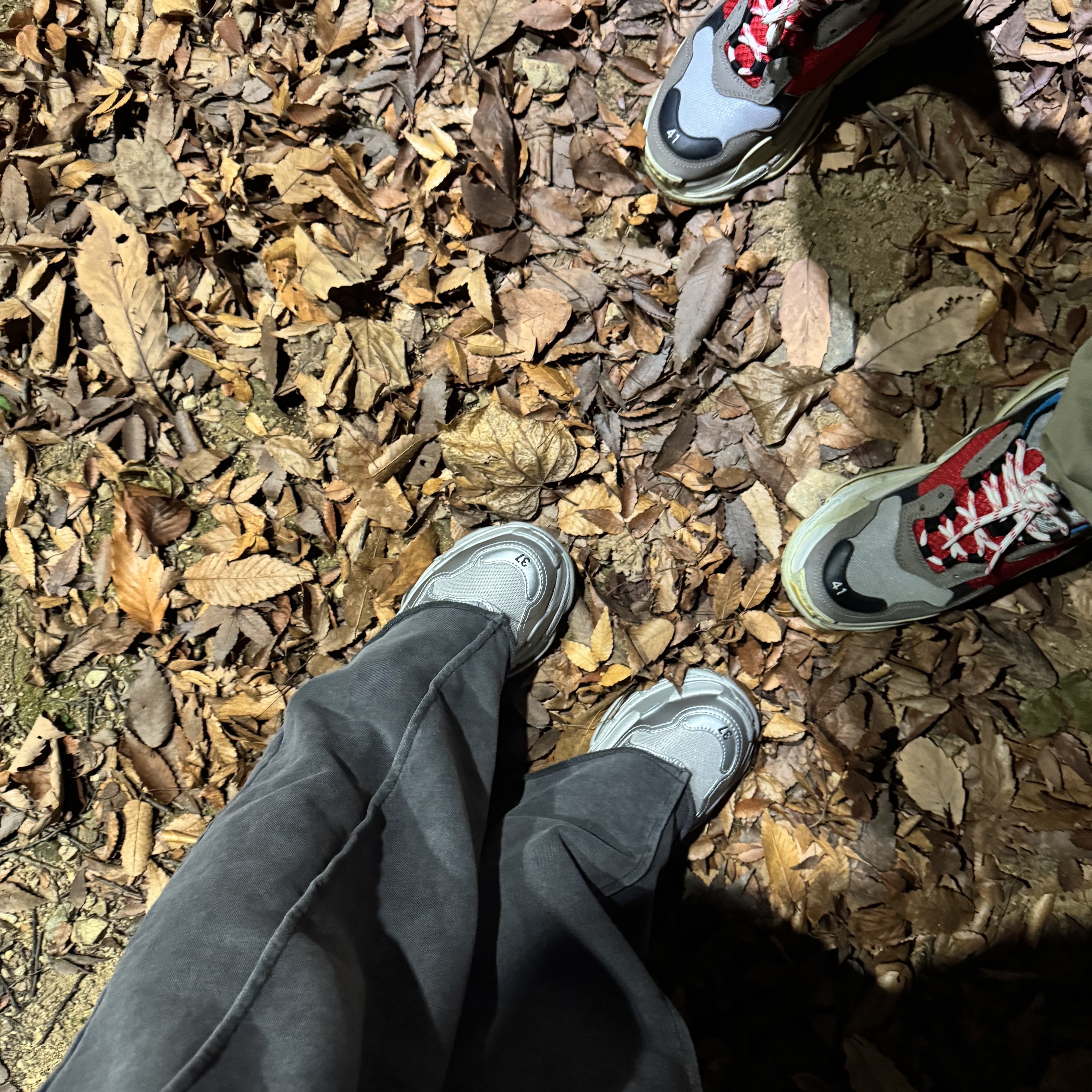 Balenciaga Triple S Trainer Blue Red, Balenciaga Triple S Sneakers Silver Metallic 착용 스타일