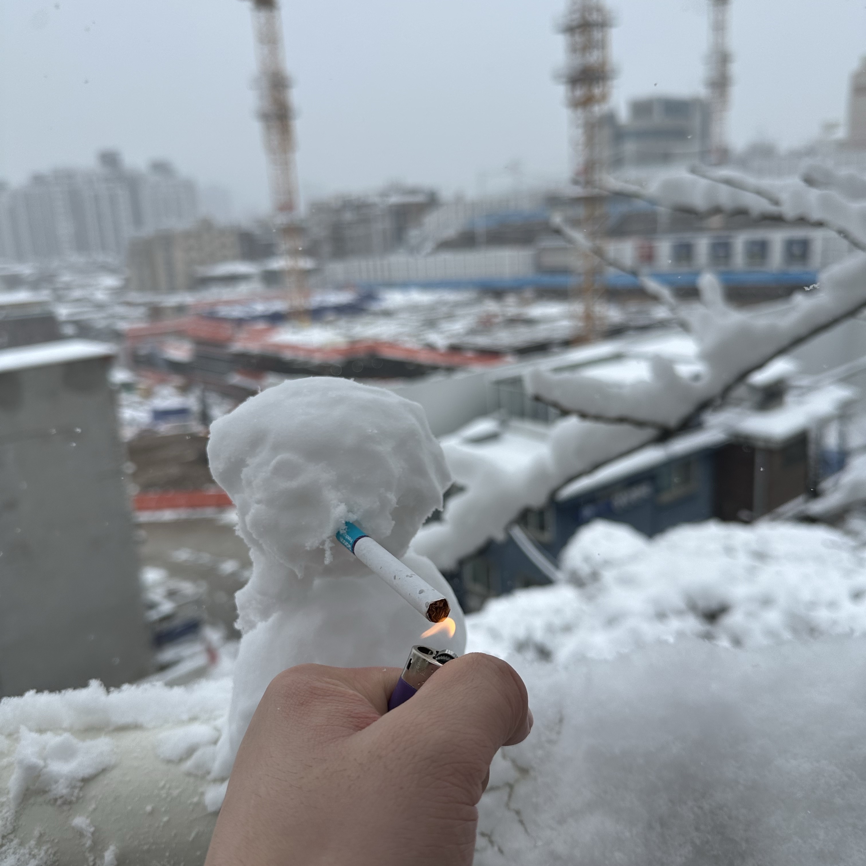 2096836396님의 스타일
