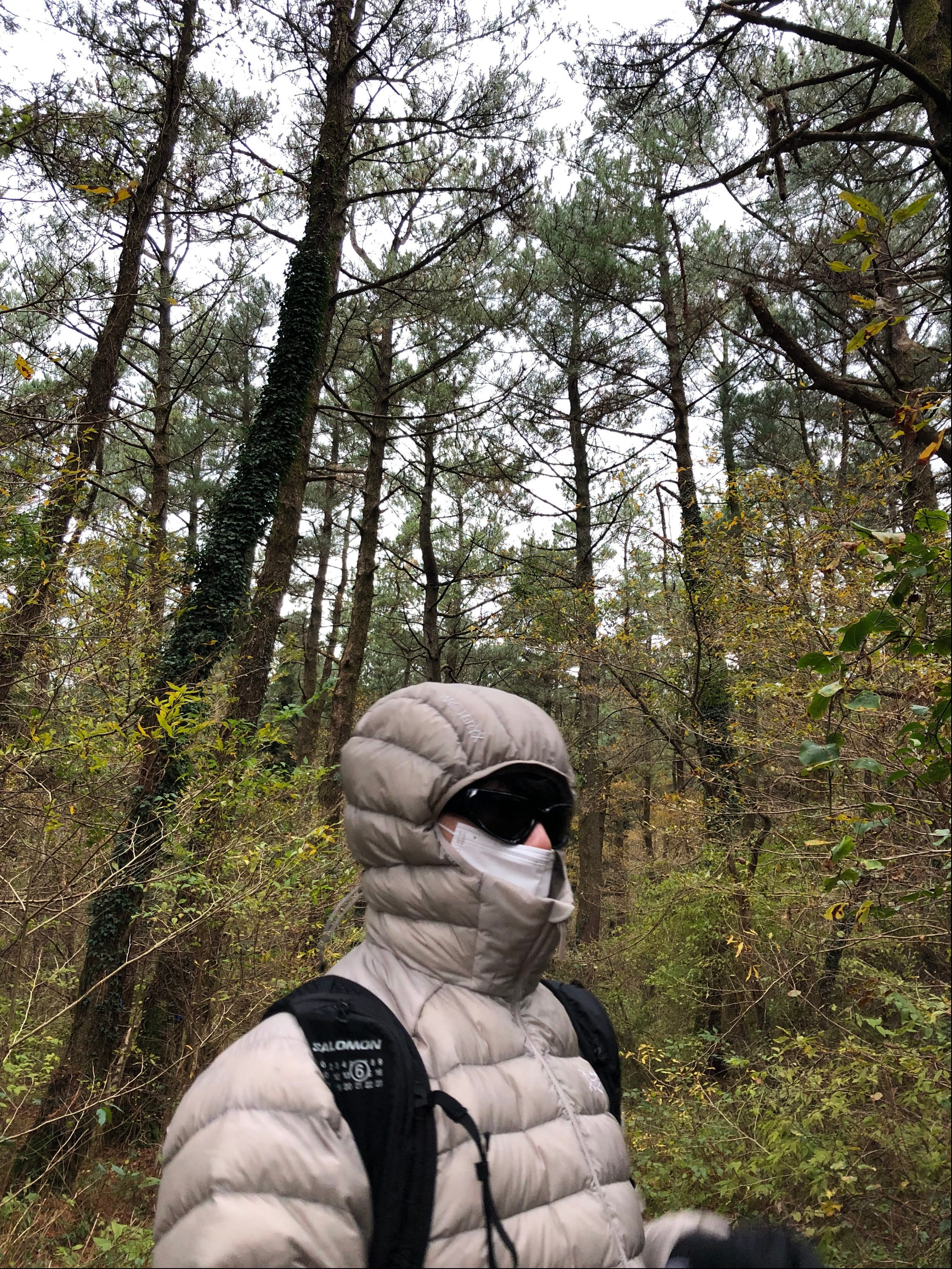 Arc'teryx Cerium Hoody Rune 착용 스타일 - 1