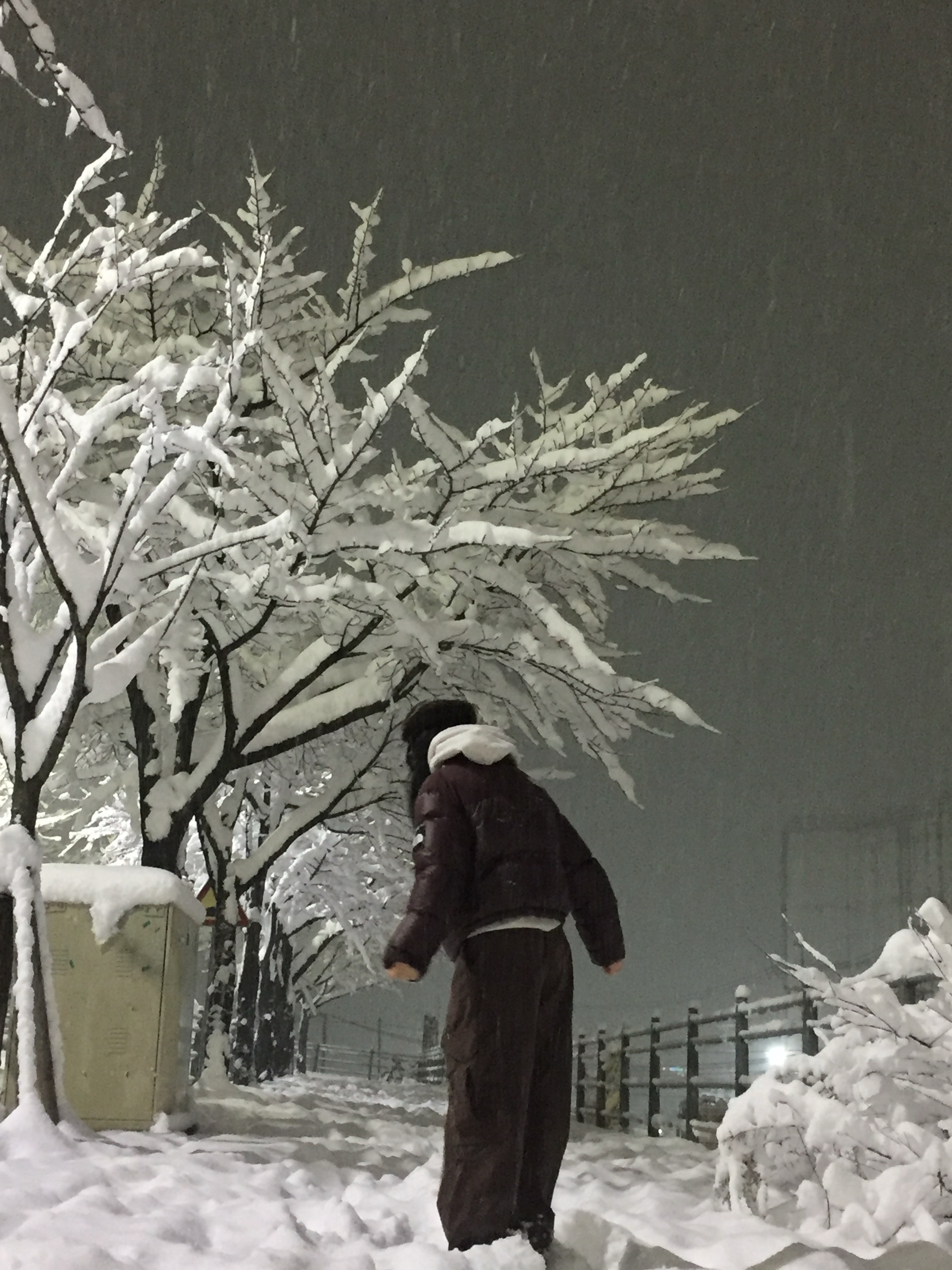 IAB Studio Hoodie Dual Gray, (W) The North Face White Label Novelty Nuptse Down Jacket Cocoa Brown 착용 스타일 - 2