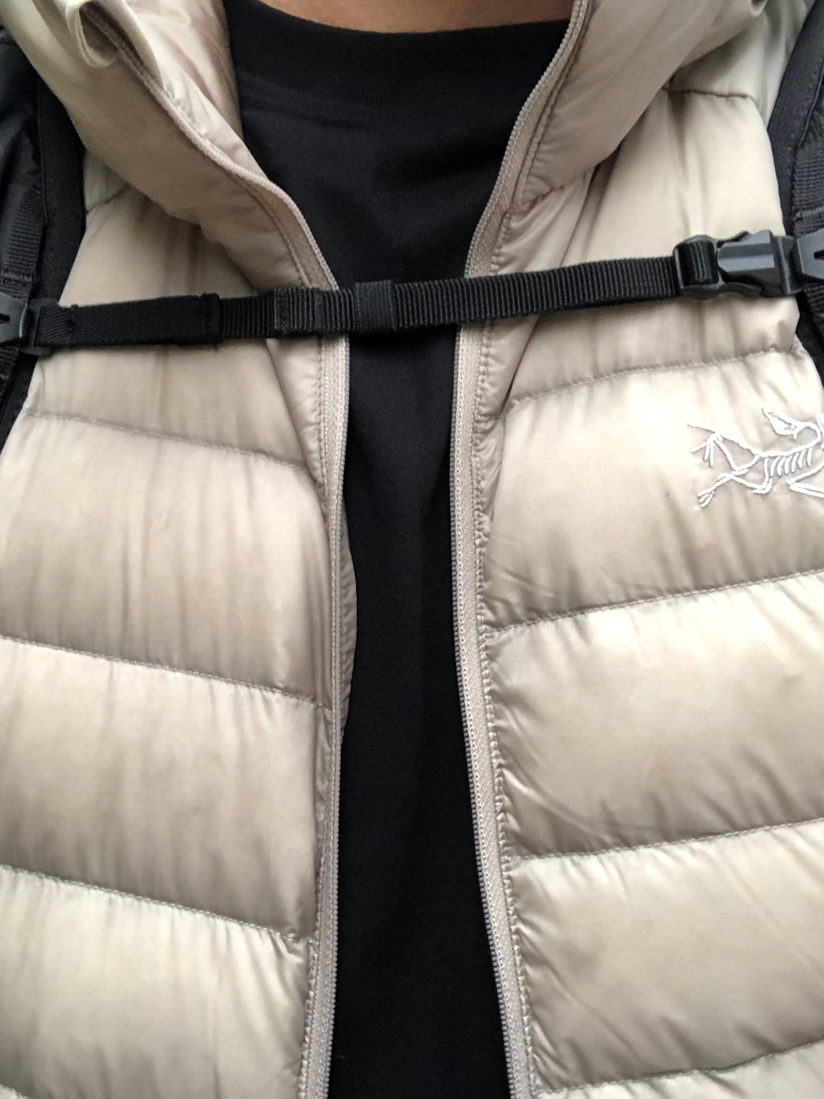 Arc'teryx Cerium Hoody Rune 착용 스타일 - 2