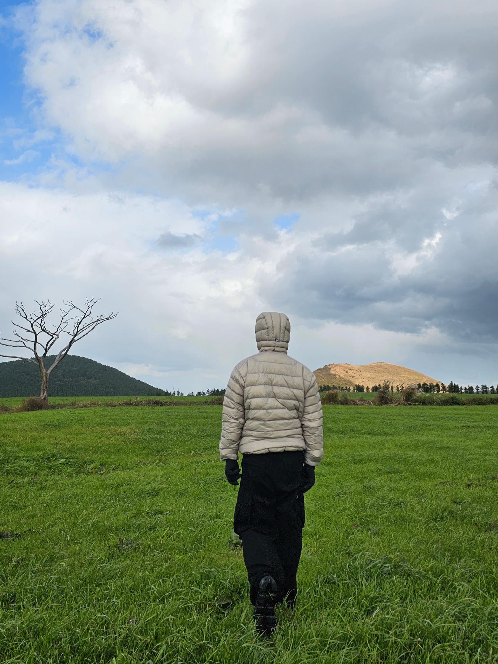 Arc'teryx Cerium Hoody Rune 착용 스타일 - 5
