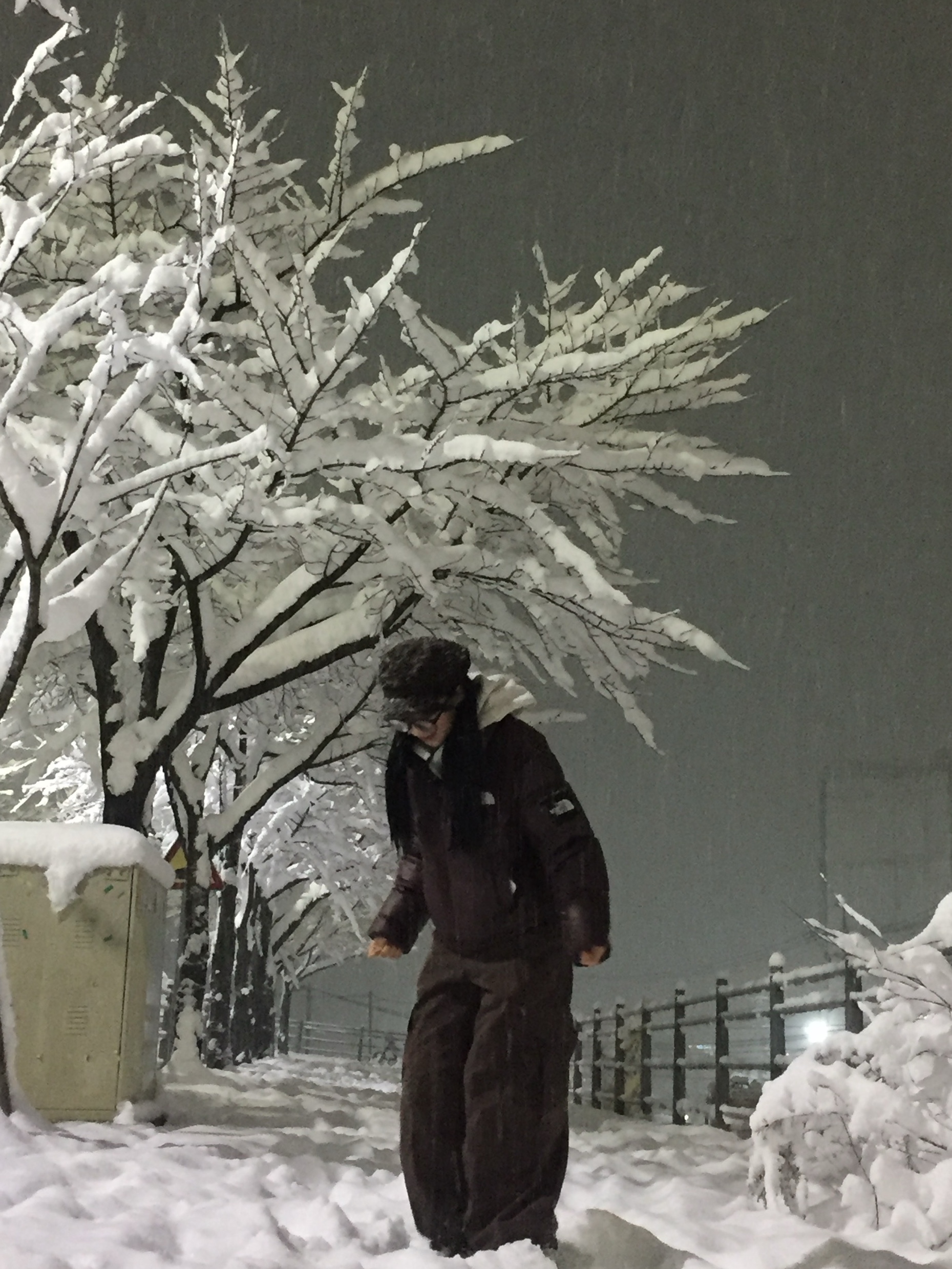 IAB Studio Hoodie Dual Gray, (W) The North Face White Label Novelty Nuptse Down Jacket Cocoa Brown 착용 스타일 - 1