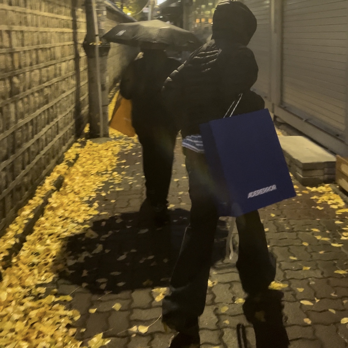 Sansan Gear Paneled Puffer Jacket Black - 24FW 착용 스타일