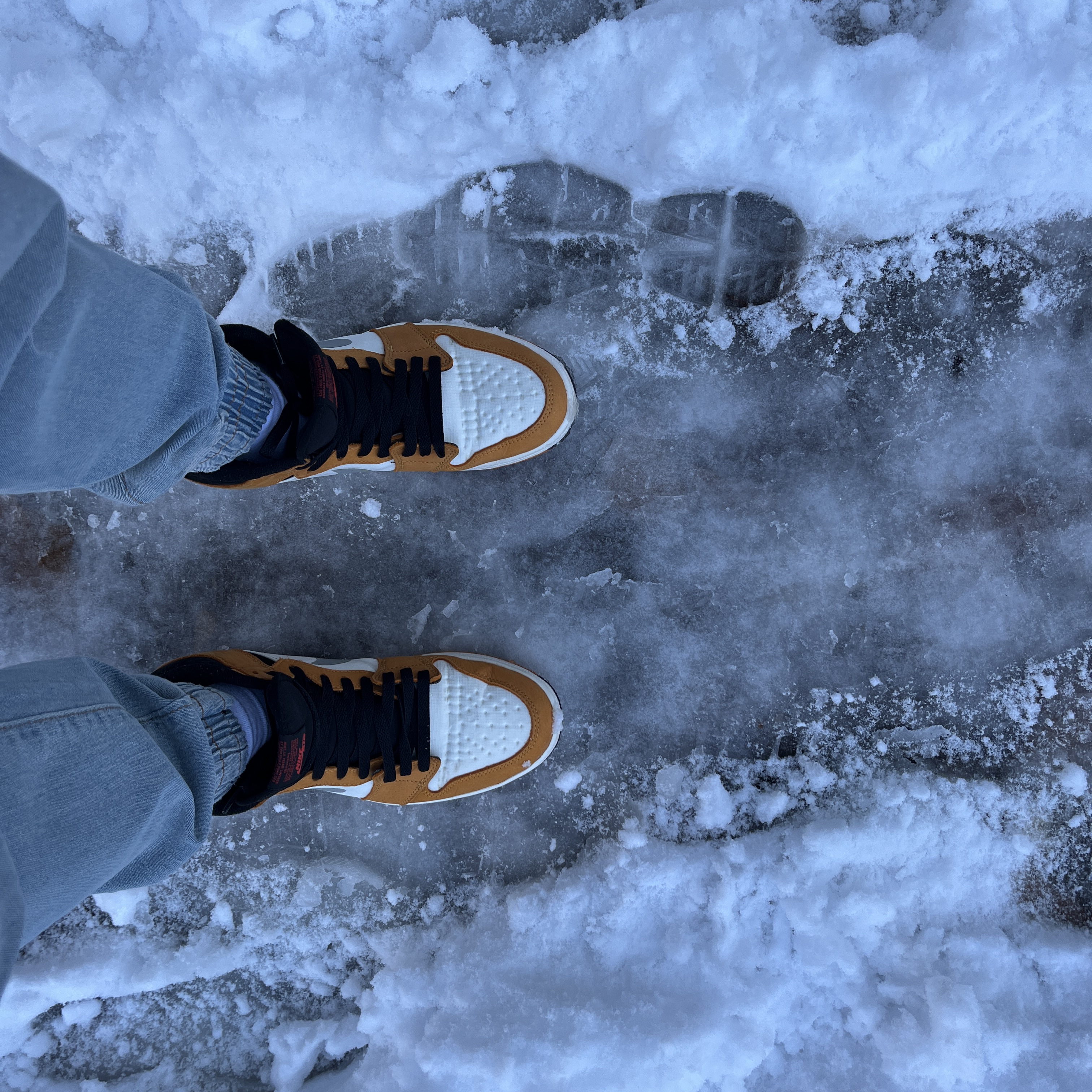 Jordan 1 Element Gore-Tex Light Curry 착용 스타일