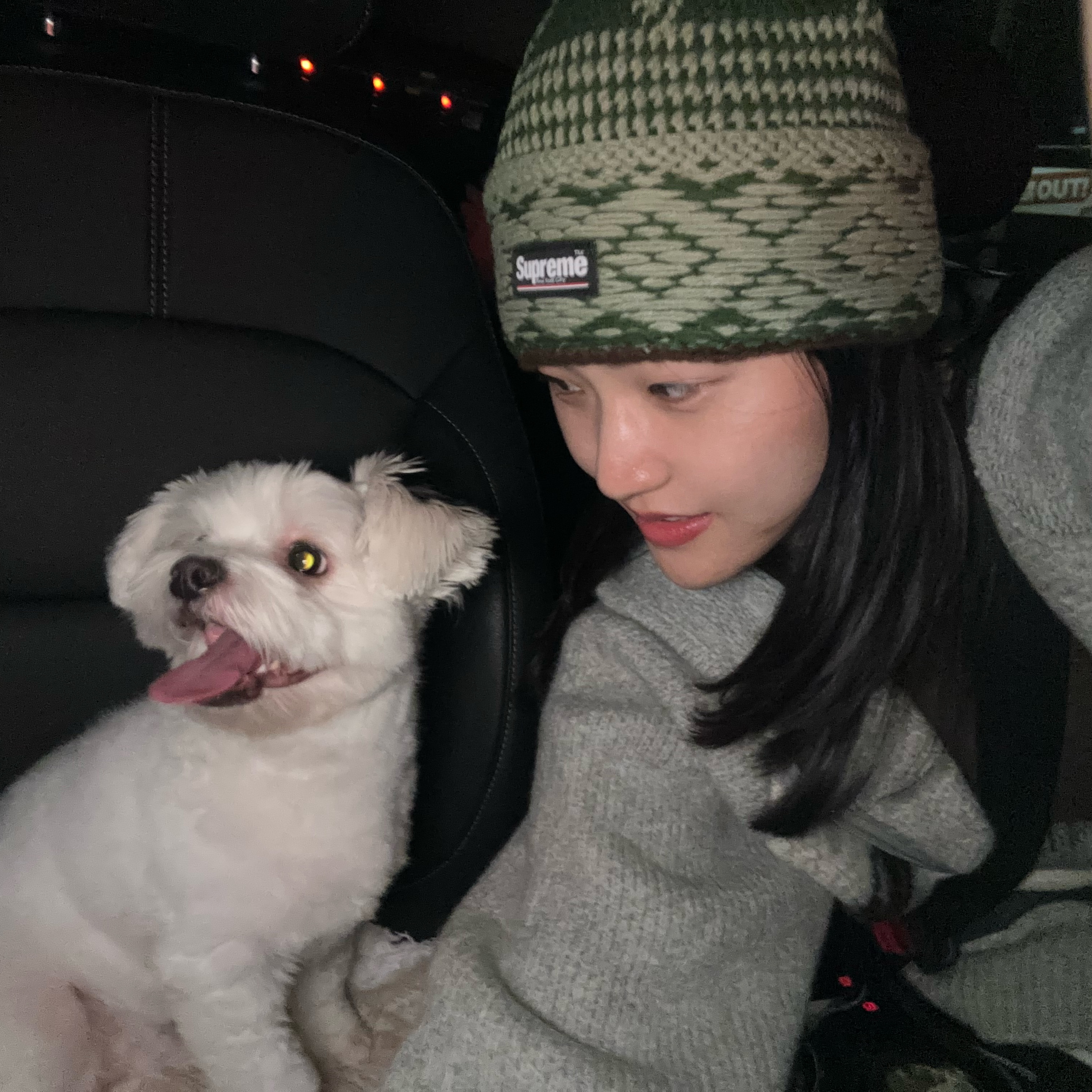 Supreme Diamond Beanie Green - 24FW 착용 스타일