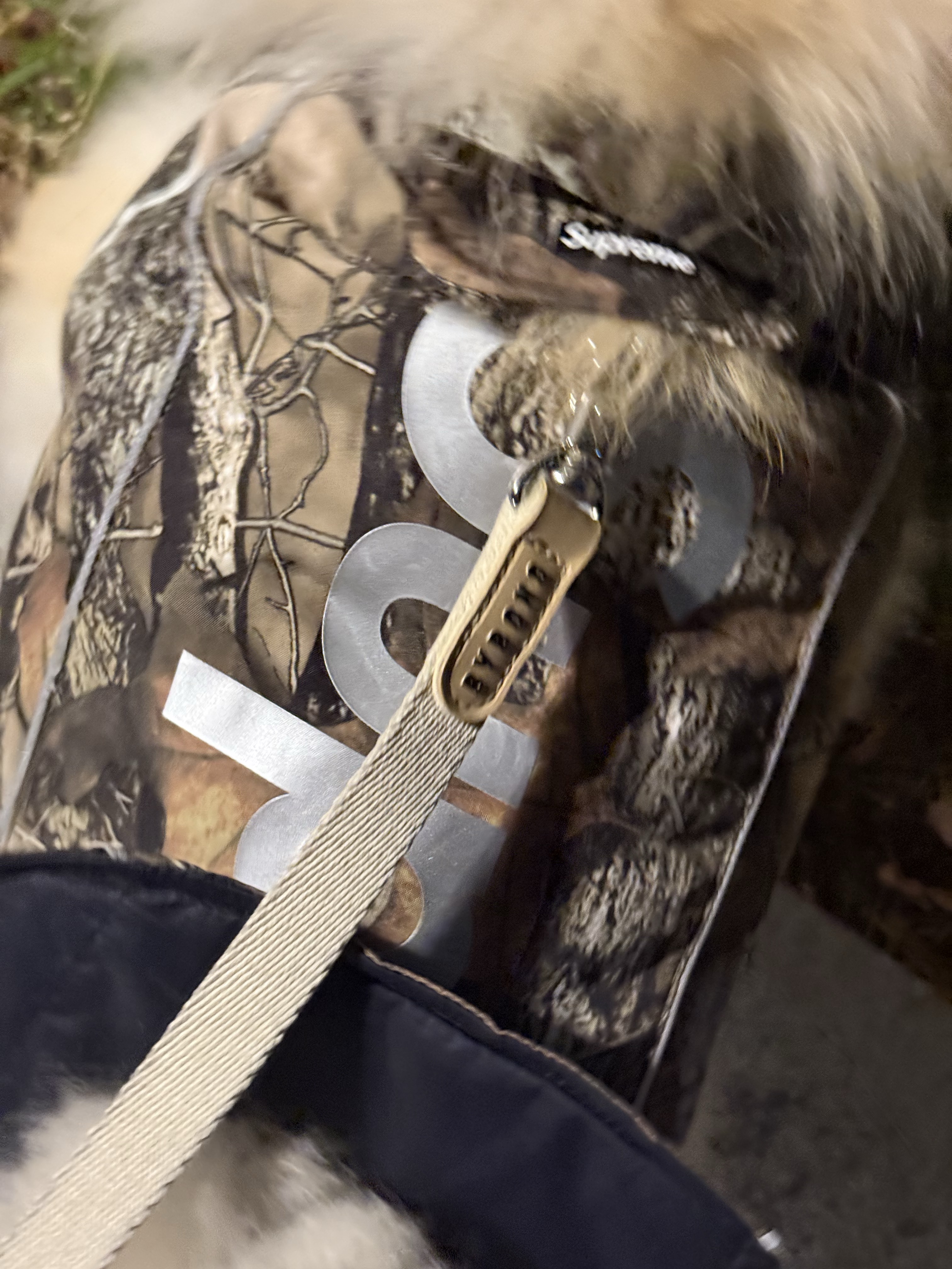 Supreme Gore-Tex Dog Jacket TrueTimber HTC Fall Camo - 24FW 착용 스타일 - 2