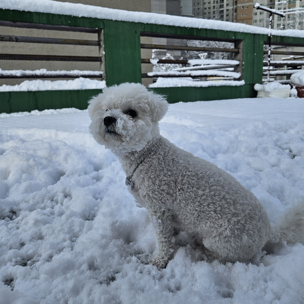 관심 유저 프로필 이미지
