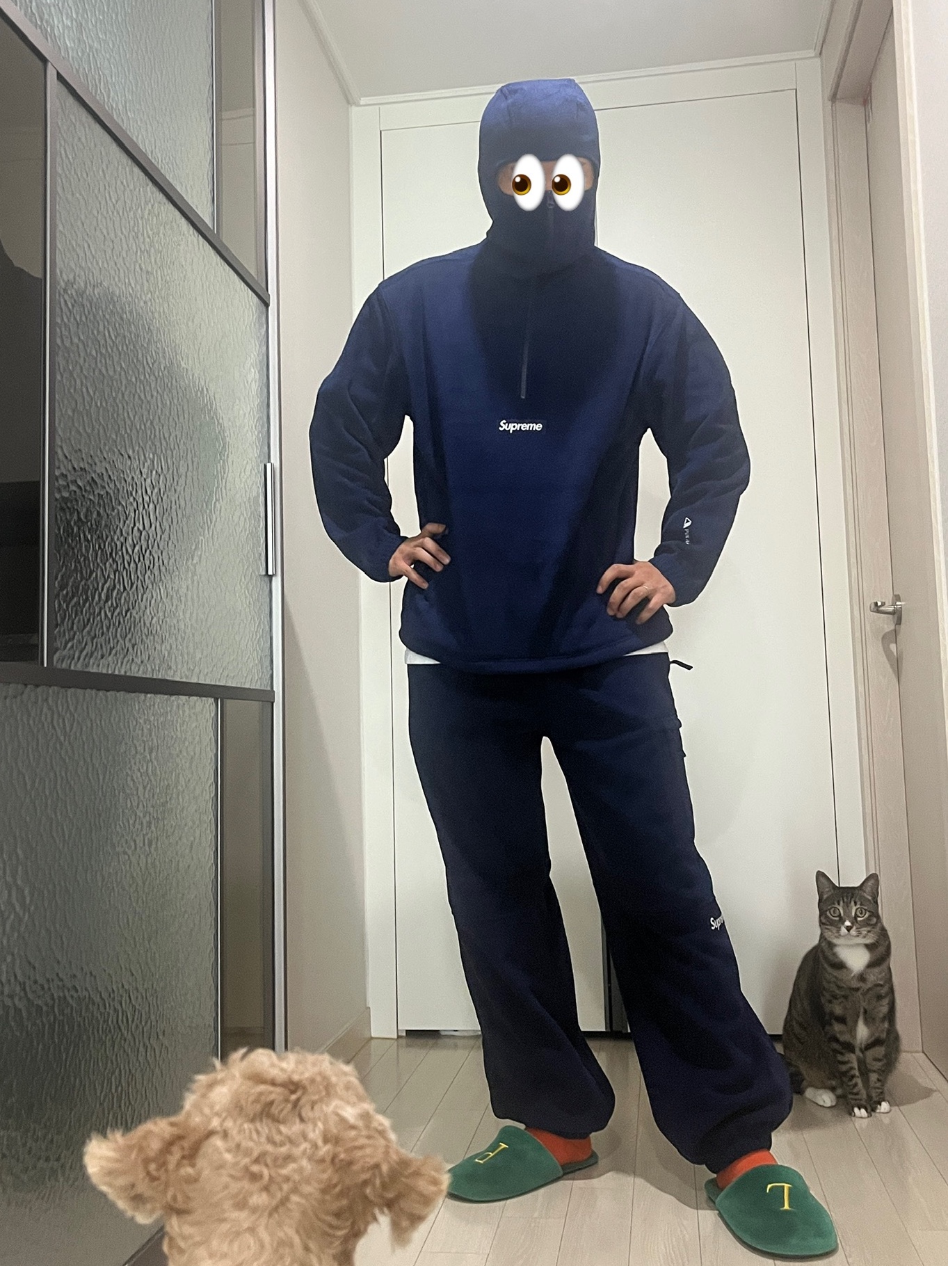 Supreme Polartec Facemask Half Zip Hooded Sweatshirt Navy - 24FW, Supreme Polartec Pant Navy - 24FW 착용 스타일
