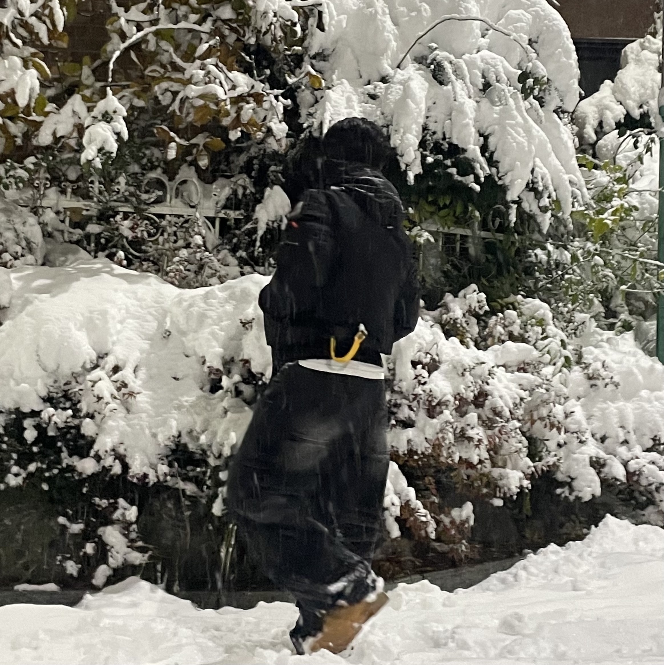 ParaJumpers Gobi Bomber Jacket Black - 24FW, Timberland Premium 6 inch Waterproof Boot Wheat Nubuck - Wide 착용 스타일 - 2
