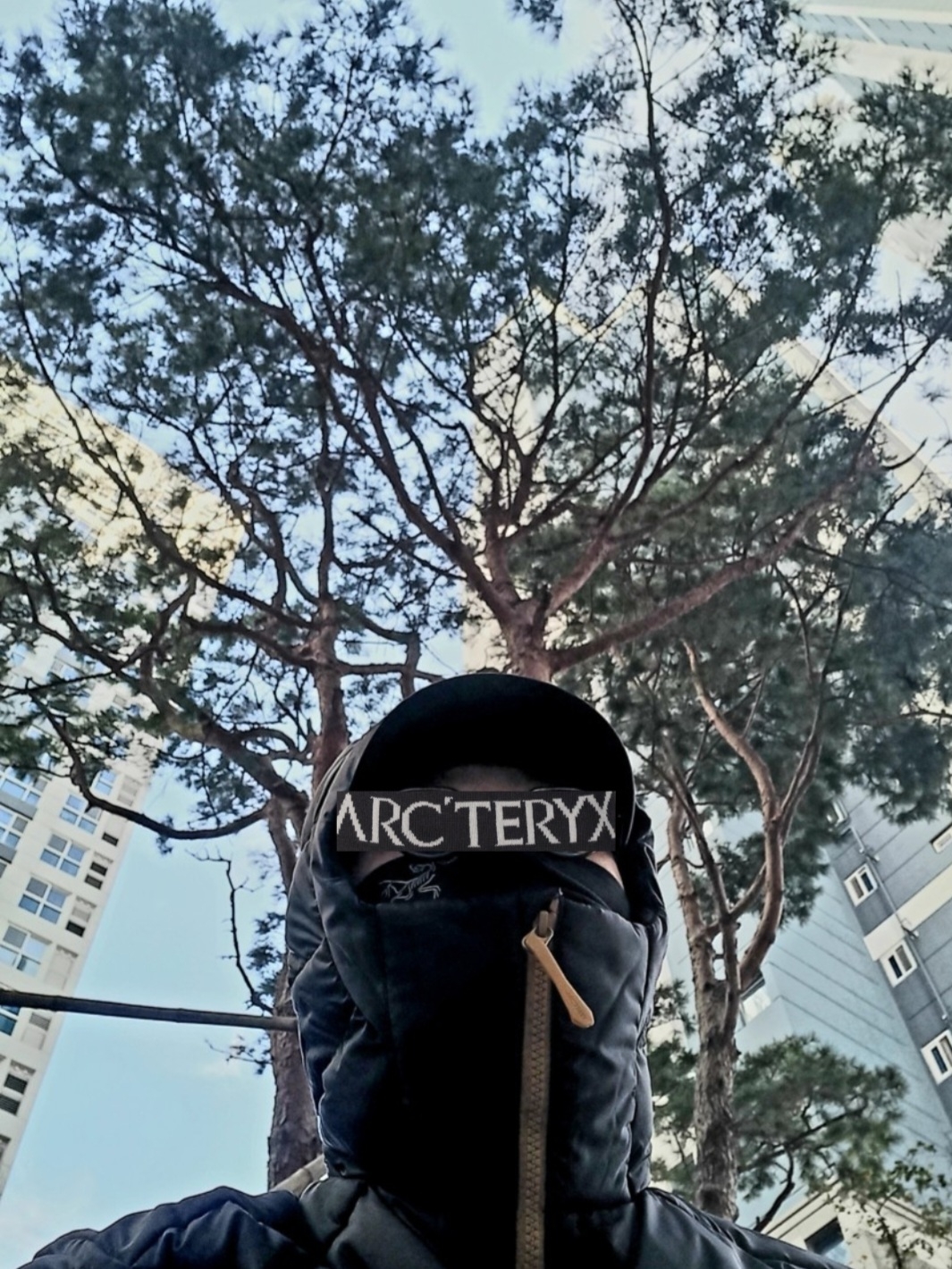 Arc'teryx Rho Lightweight Wool Neck Gaiter Black, Arc'teryx Thorium Hoody Dark Magic 착용 스타일 - 1