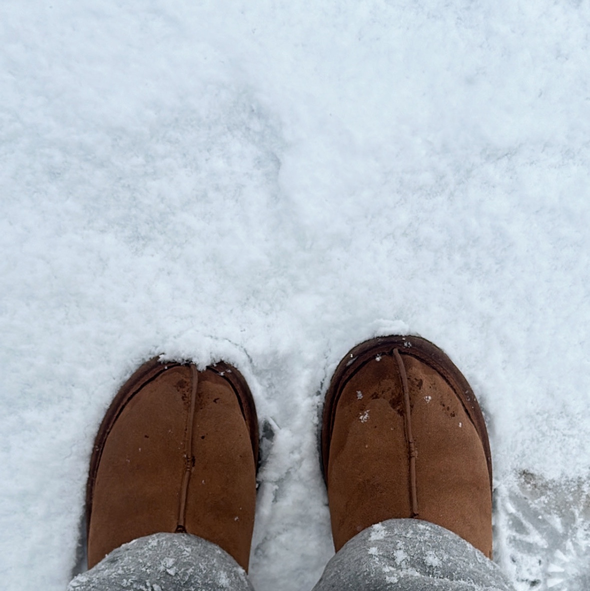UGG Neuman Chestnut 착용 스타일