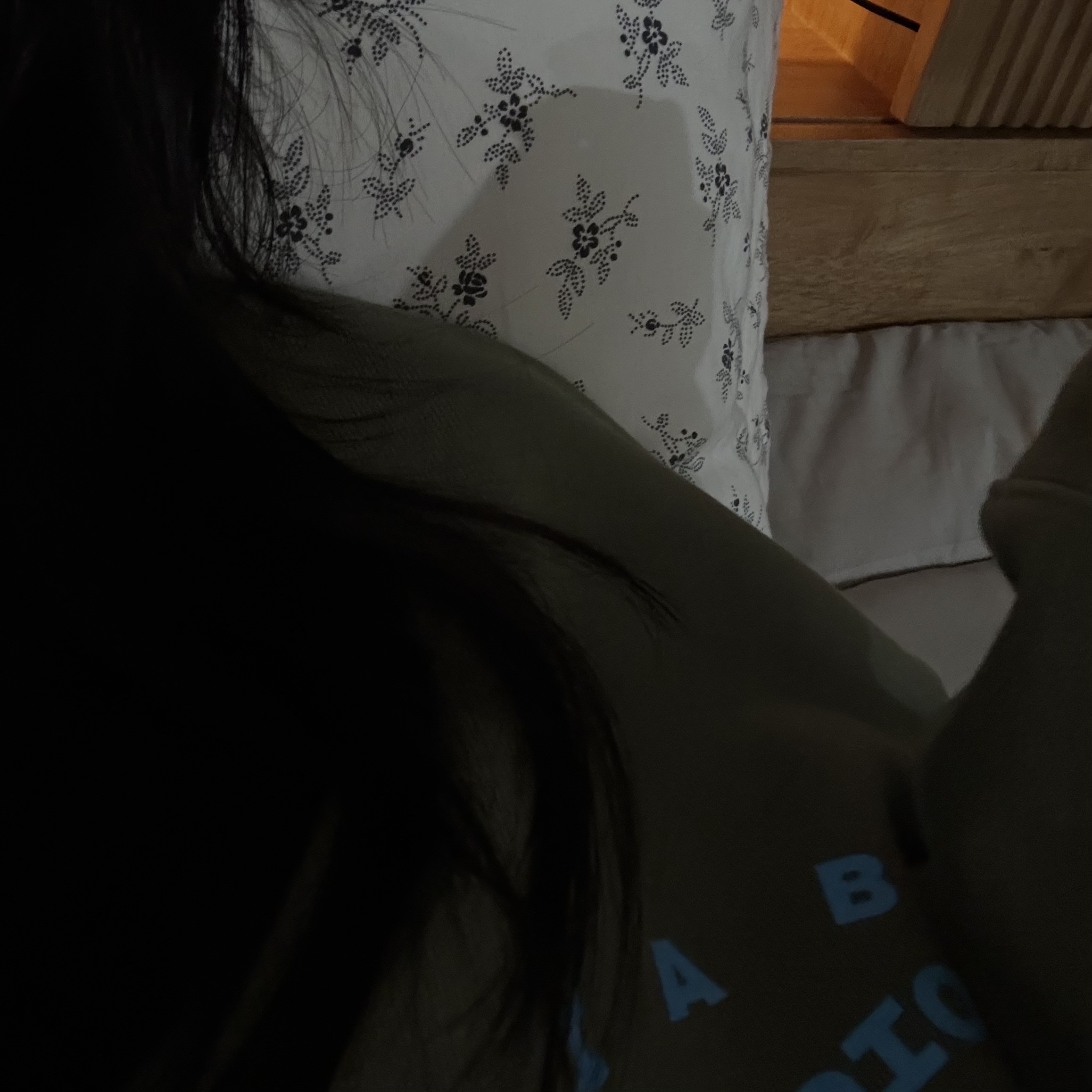 IAB Studio x Helinox Sweatshirt Leaf Green 착용 스타일