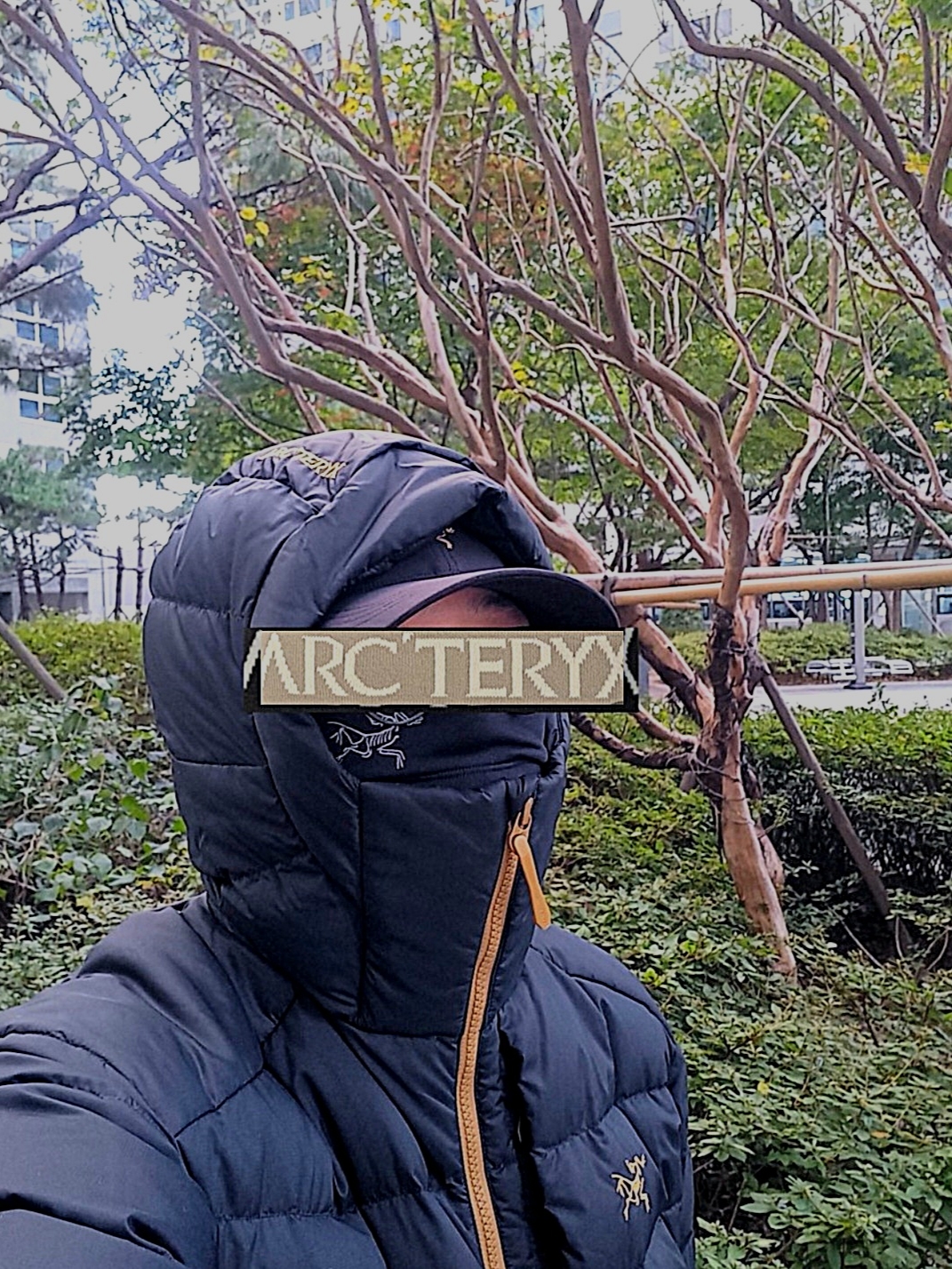 Arc'teryx Rho Lightweight Wool Neck Gaiter Black, Arc'teryx Thorium Hoody Dark Magic 착용 스타일 - 2
