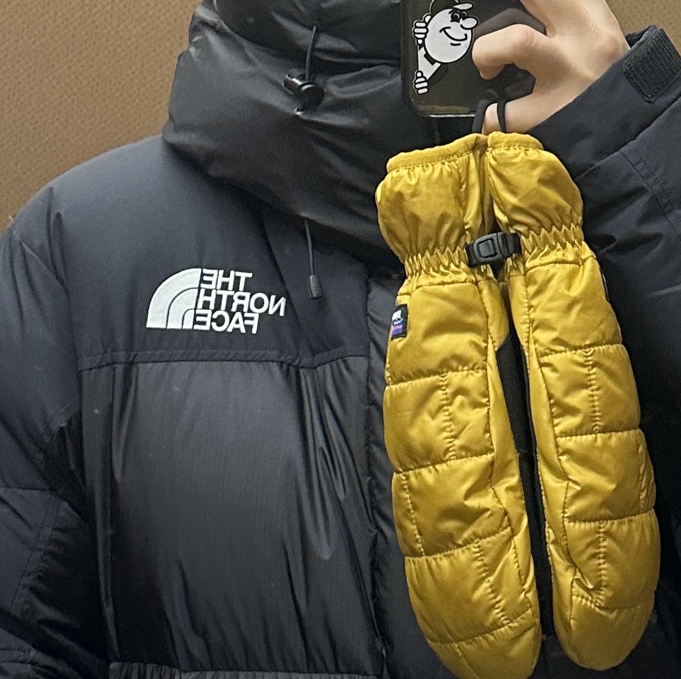 The North Face Him Down Parka Black 착용 스타일
