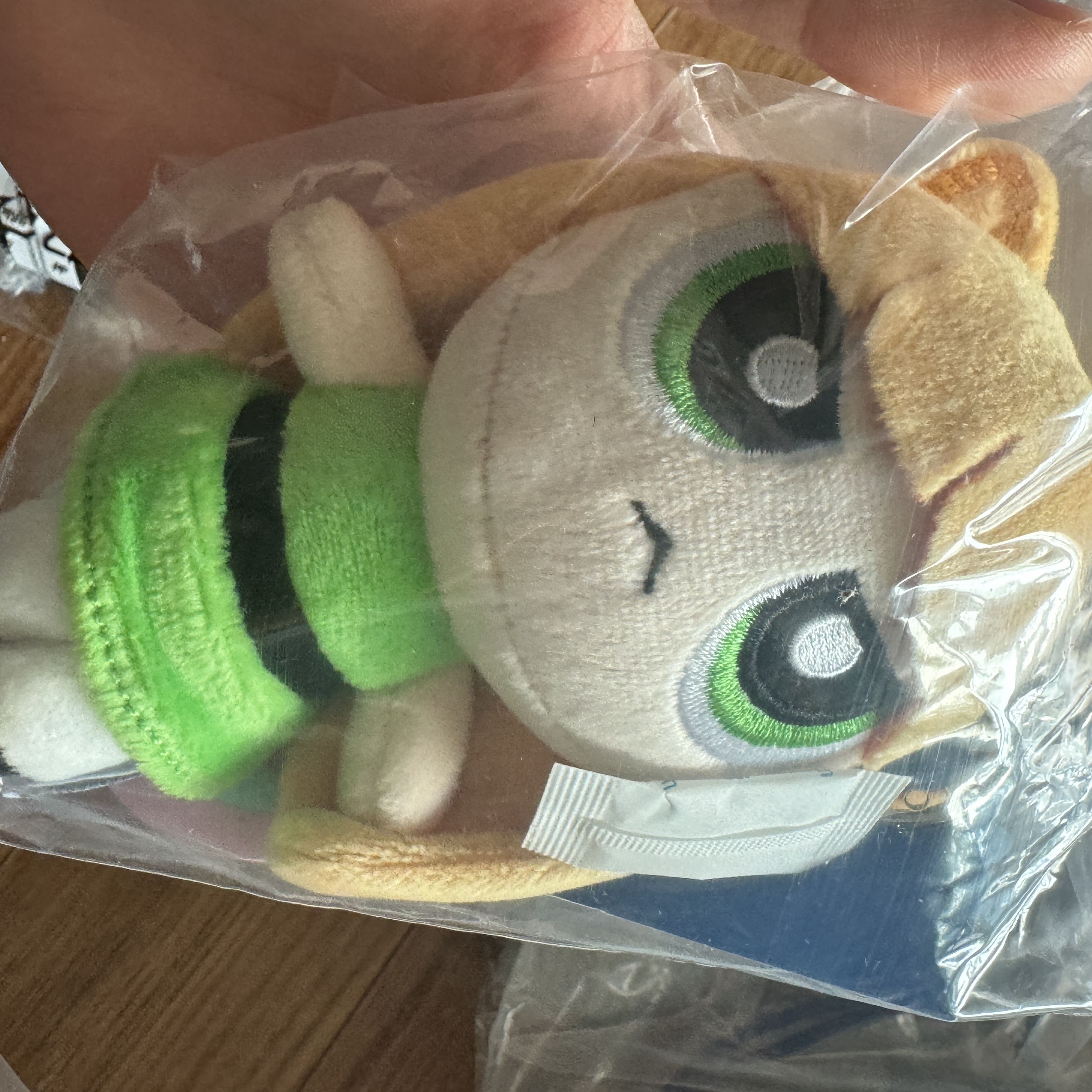 Newjeans x The Powerpuff Girls Bag Charm Haerin 착용 스타일
