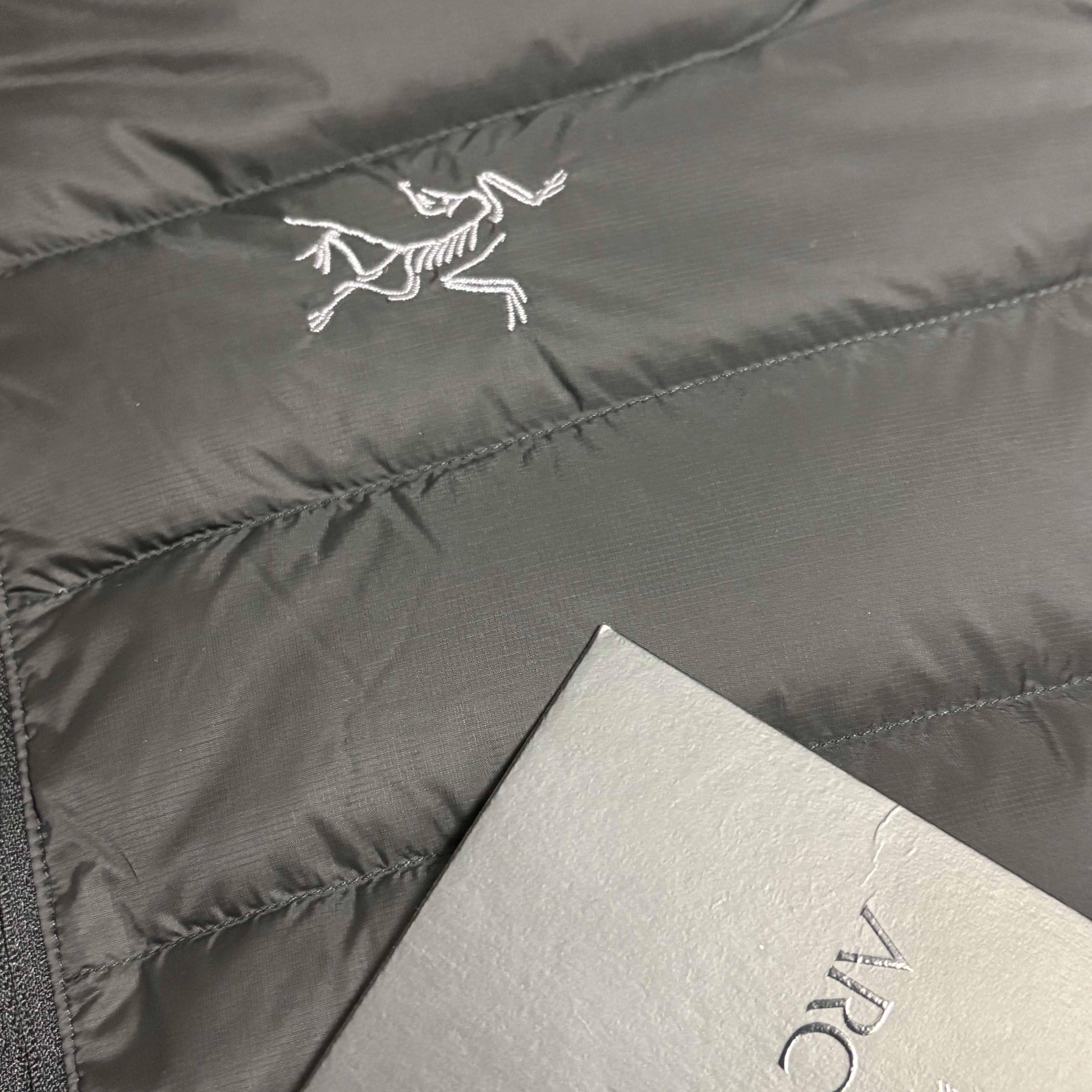Arc'teryx Cerium Hoody Black 착용 스타일 - 1