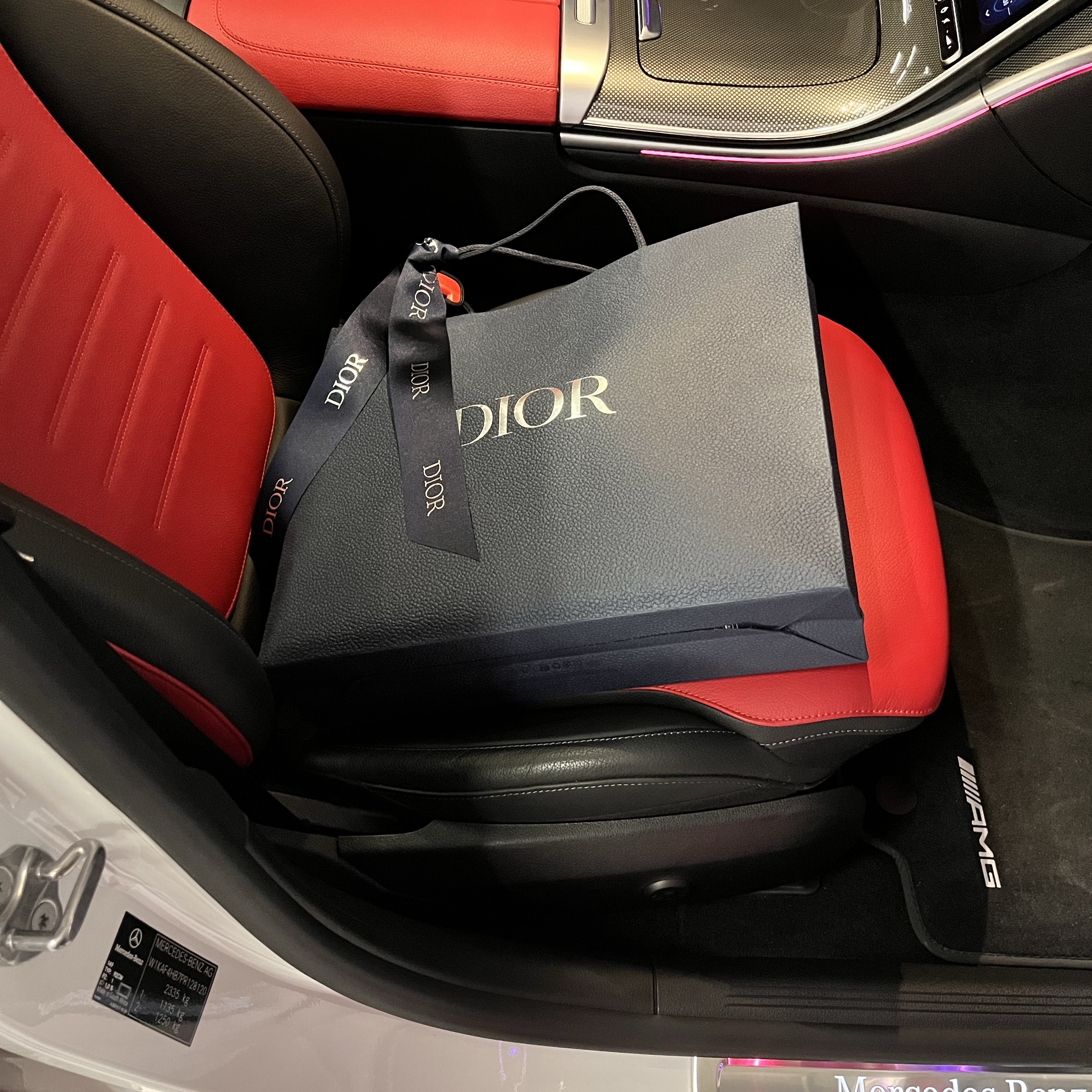 Dior Safari Bag With Strap Black 착용 스타일 - 2