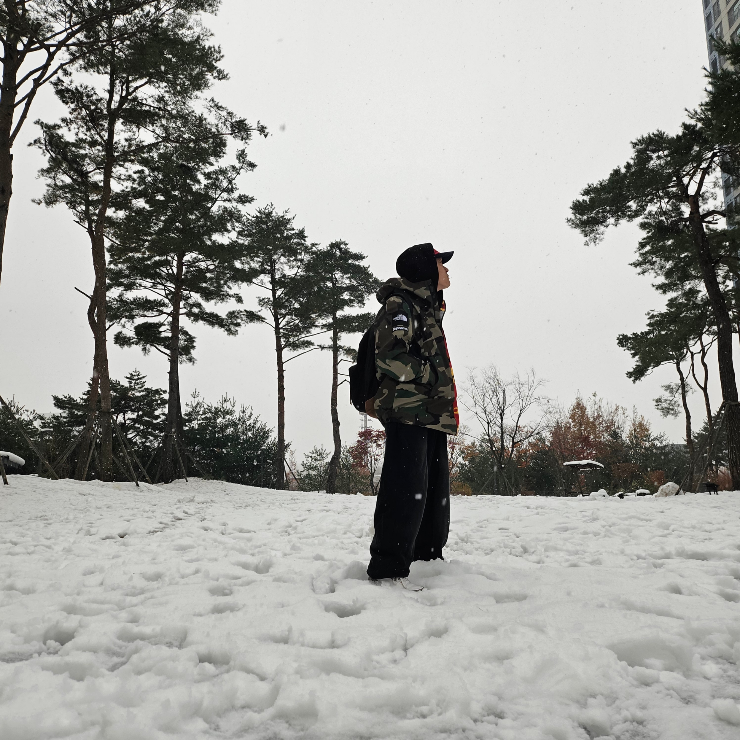 Supreme x The North Face Split Taped Seam Shell Jacket Camo - 24SS, Supreme 2-Tone S Logo 6-Panel Red - 24SS 착용 스타일 - 5