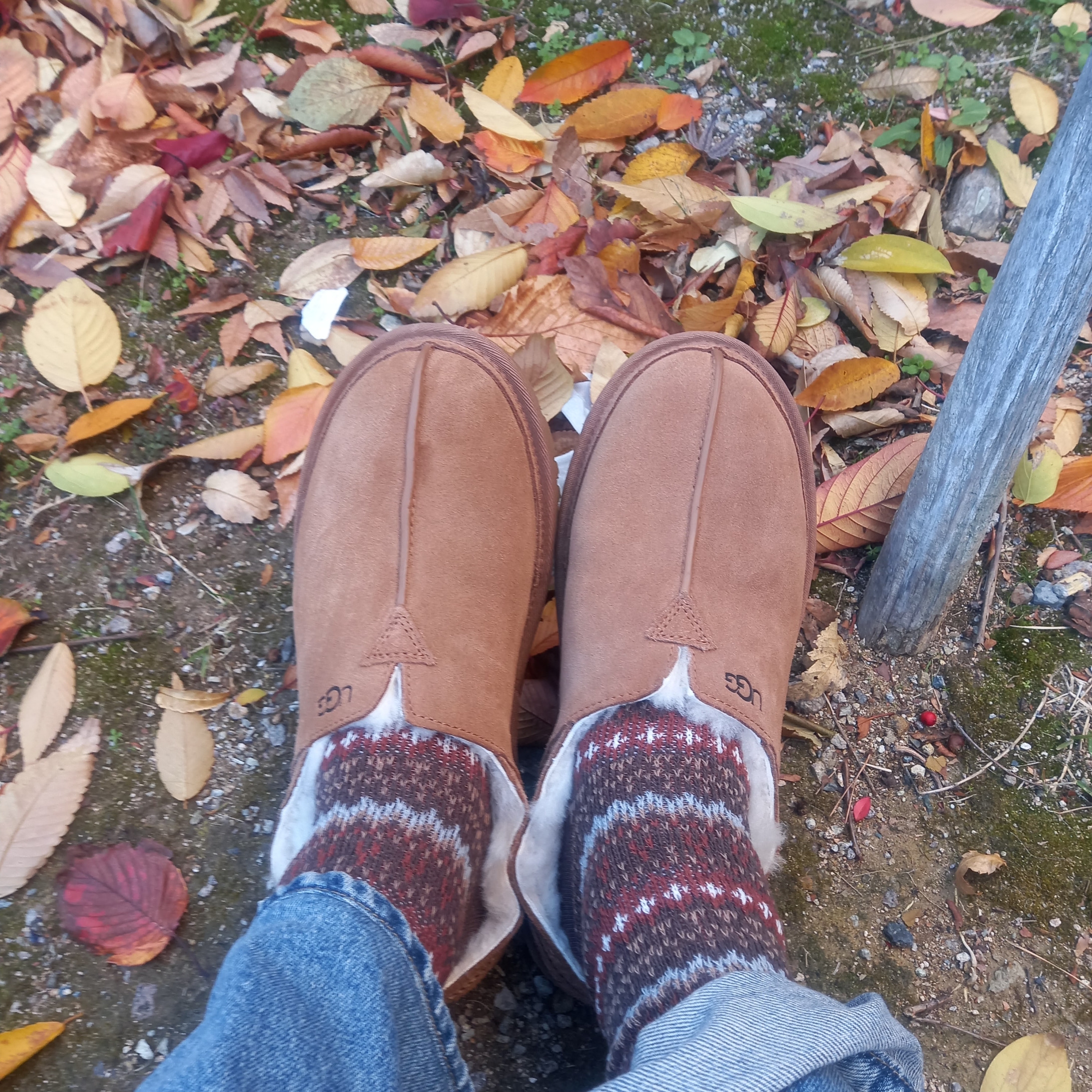 UGG Neuman Chestnut 착용 스타일 - 3