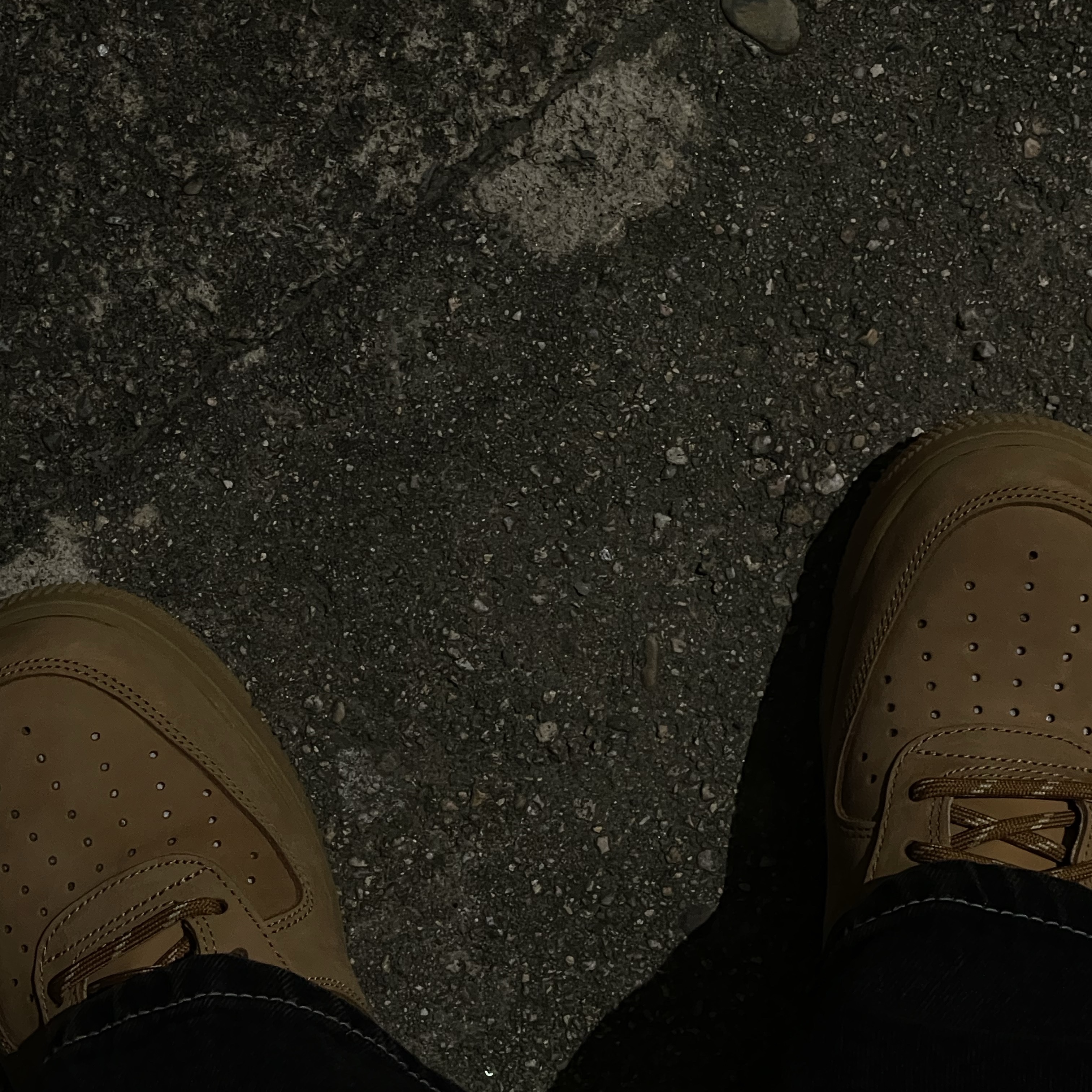 Nike Air Force 1 '07 WB Flax 착용 스타일