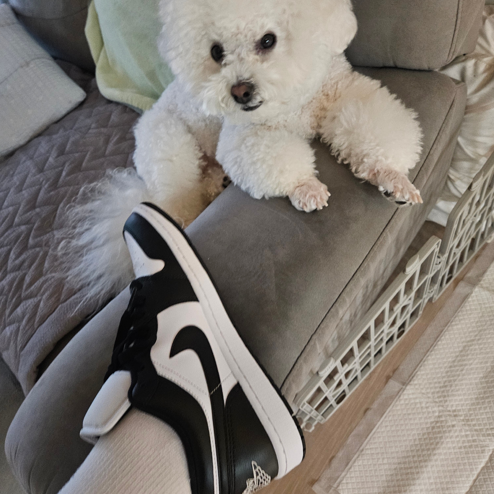 (W) Jordan 1 Low Black and White 착용 스타일