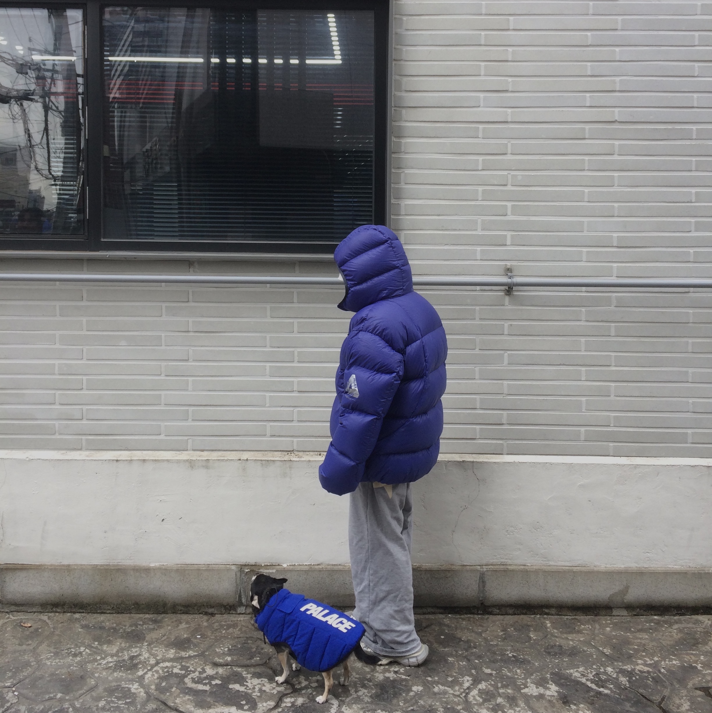 Palace Dog Puffa Blue - 24FW, Palace Pertex Opaque Balaclava Puffa Deep Ultra - 24FW 착용 스타일