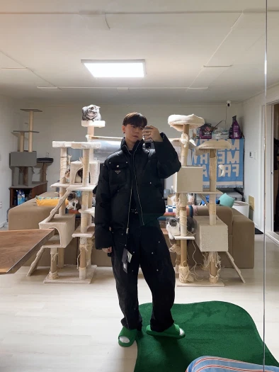 스타일 카드