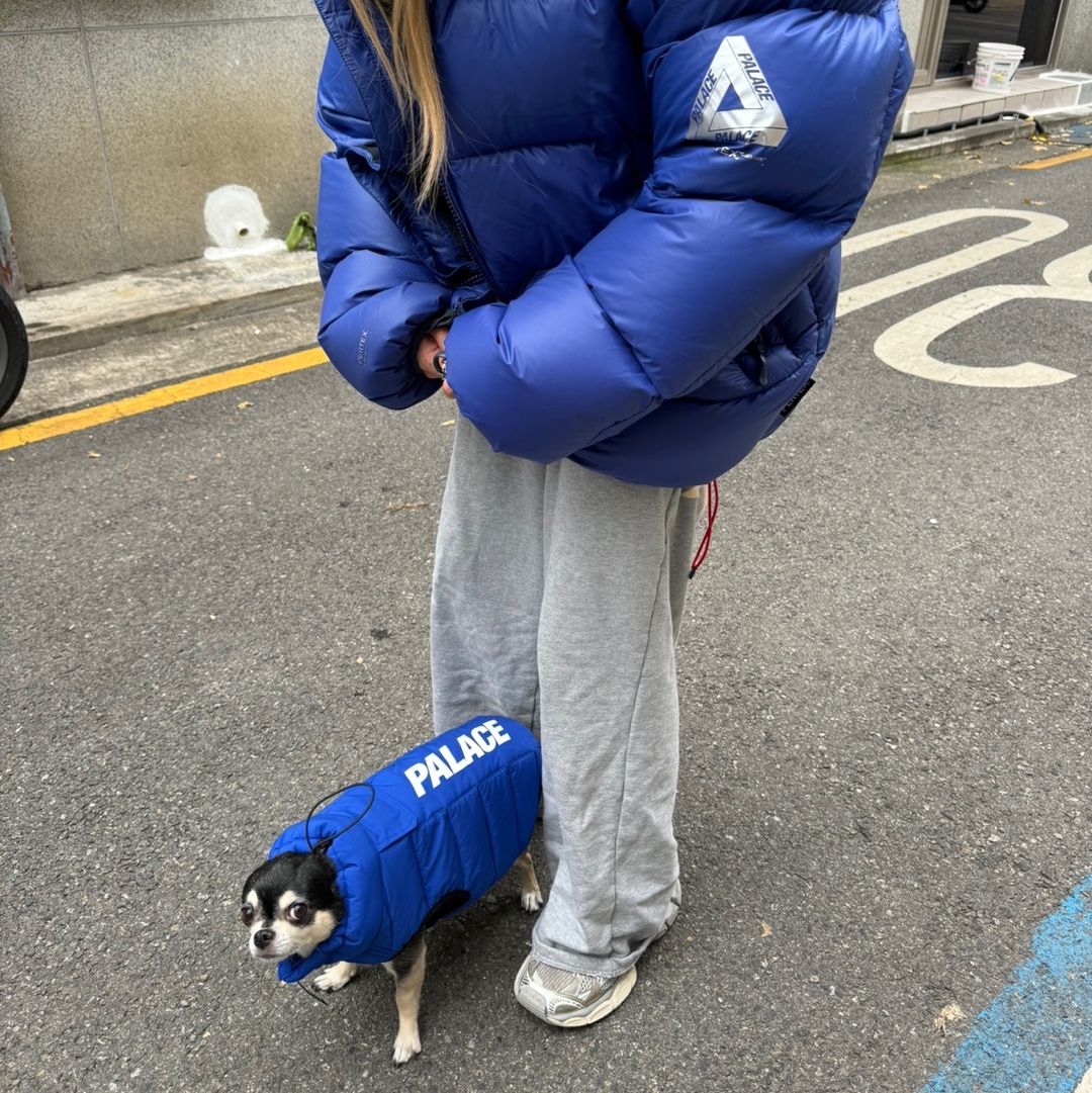 Palace Dog Puffa Blue - 24FW 착용 스타일