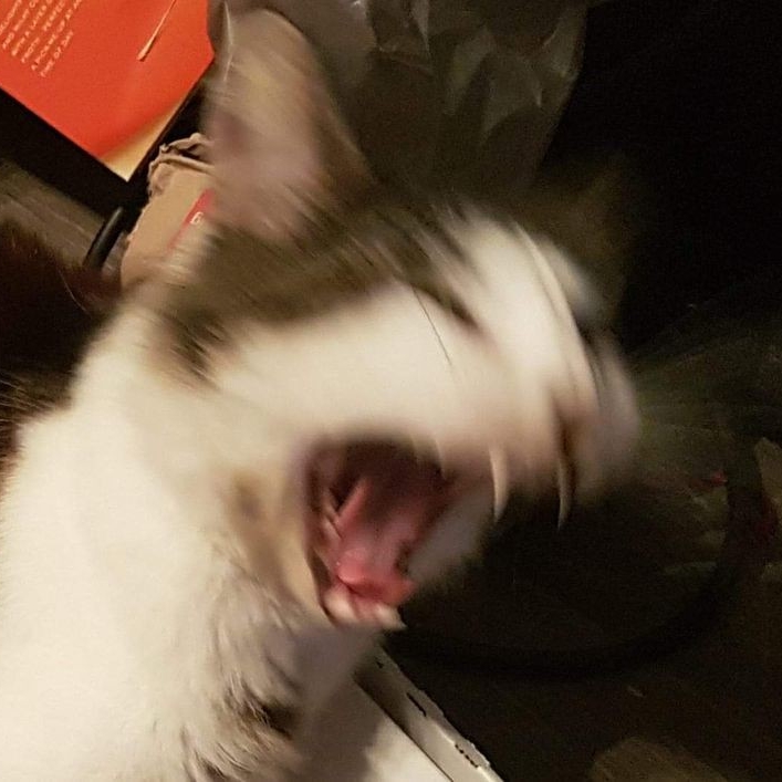 관심 유저 프로필 이미지