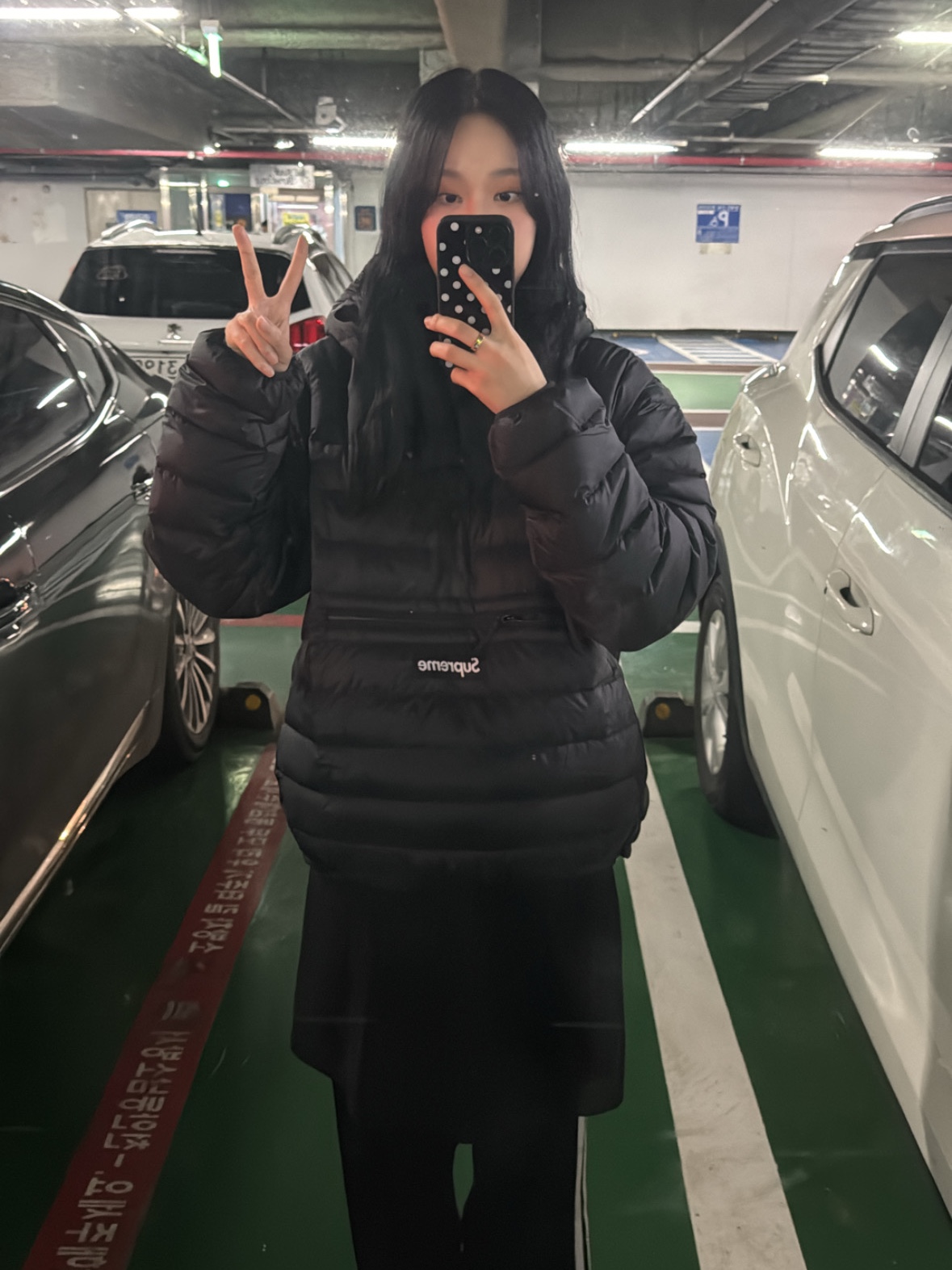 Supreme Micro Down Half Zip Hooded Pullover Black - 24FW, Stussy Basic Stussy Hoodie Black 착용 스타일