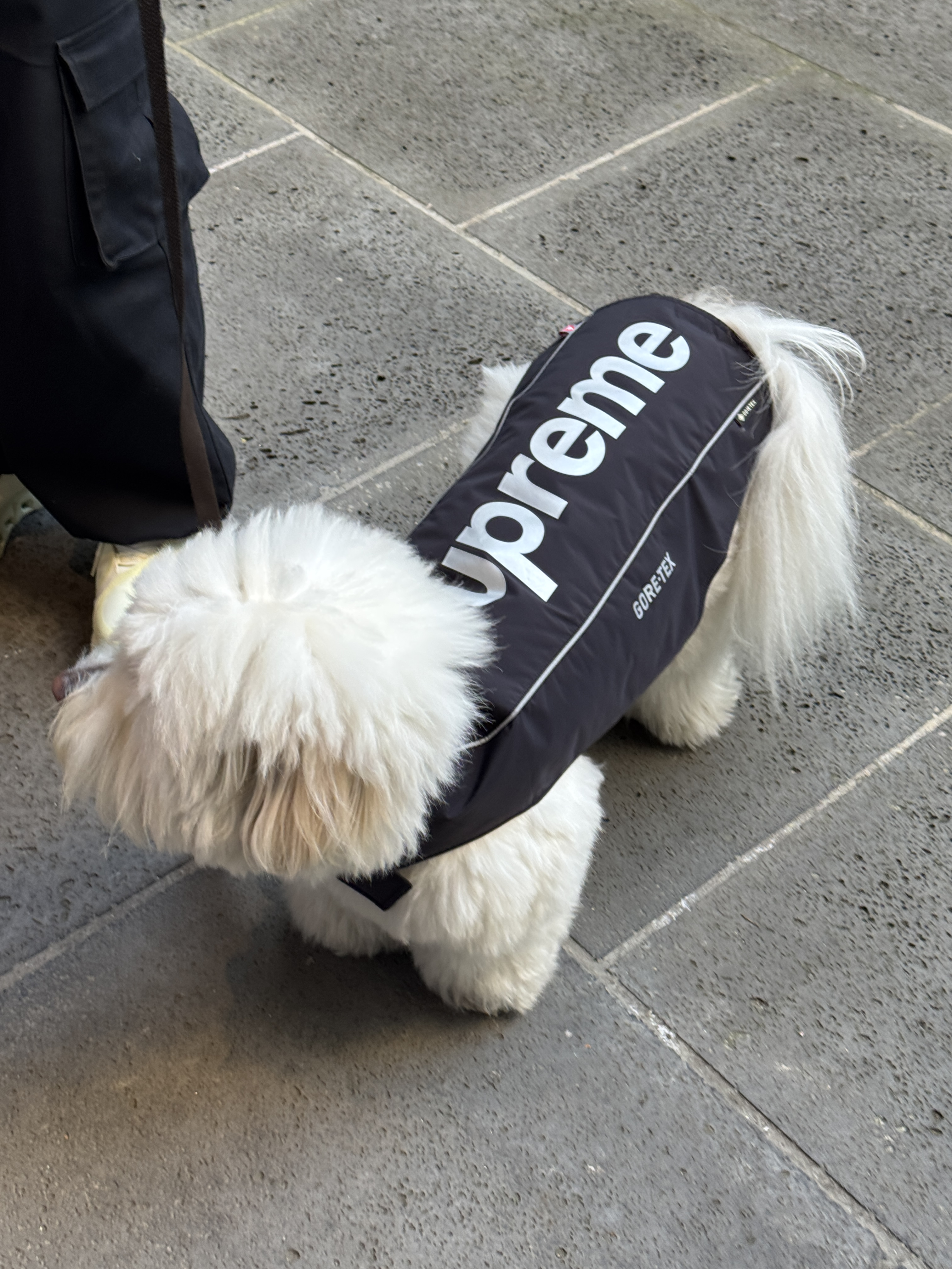 Supreme Gore-Tex Dog Jacket Black - 24FW 착용 스타일