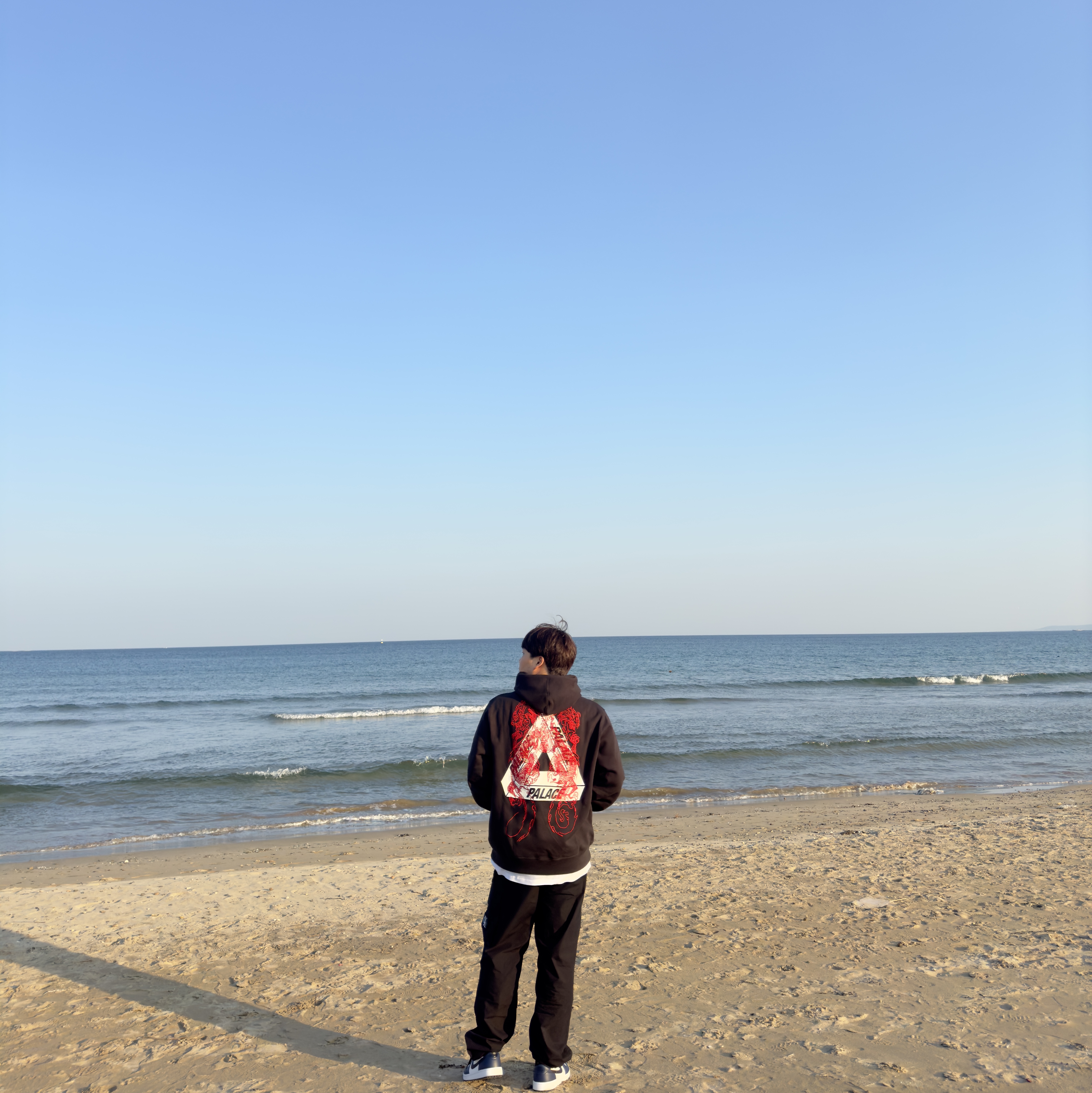 Palace Tri-Dragon Hood Black - 24SS 착용 스타일