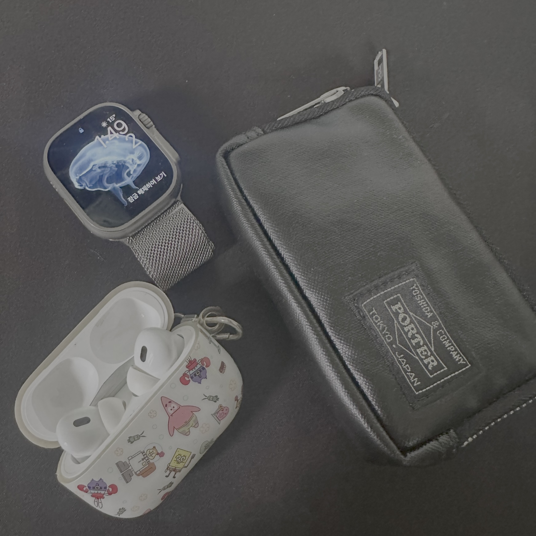 Porter Freestyle Multi Coin Case Black, Apple AirPods Pro 2nd Gen (Korean Ver.) 착용 스타일
