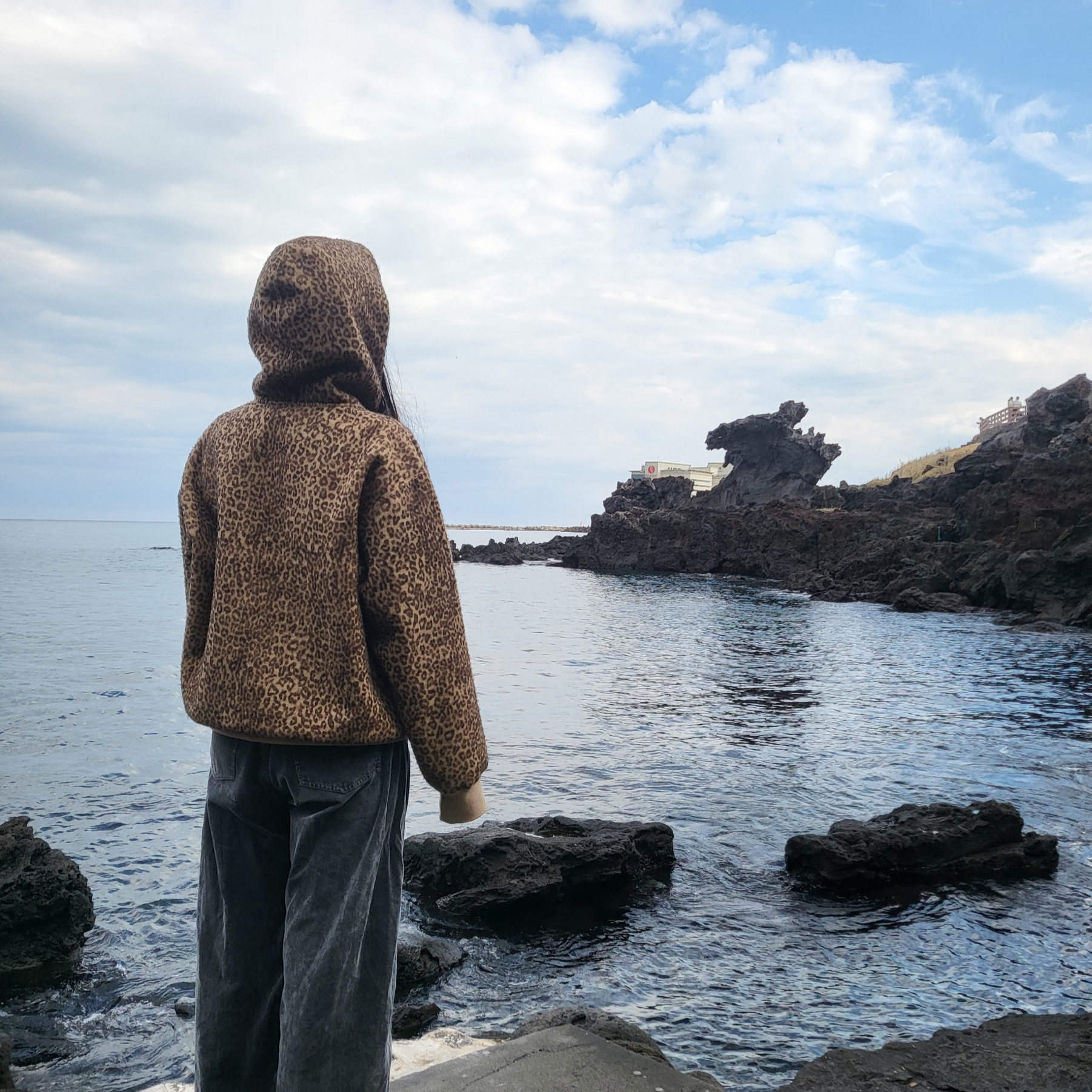 Supreme Pilled Zip Up Hooded Sweatshirt Cheetah - 24FW 착용 스타일 - 2
