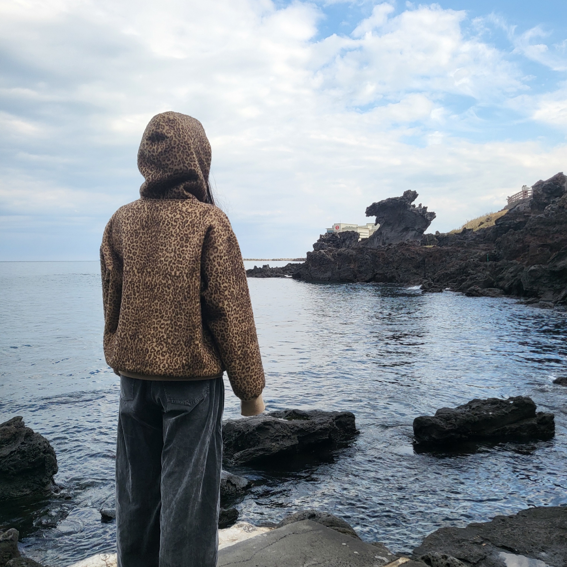 Supreme Pilled Zip Up Hooded Sweatshirt Cheetah - 24FW 착용 스타일 - 3
