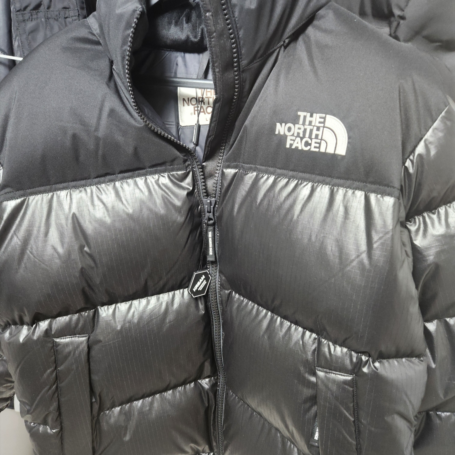 The North Face White Label Novelty Nuptse RDS Down Jacket Black 착용 스타일 - 2