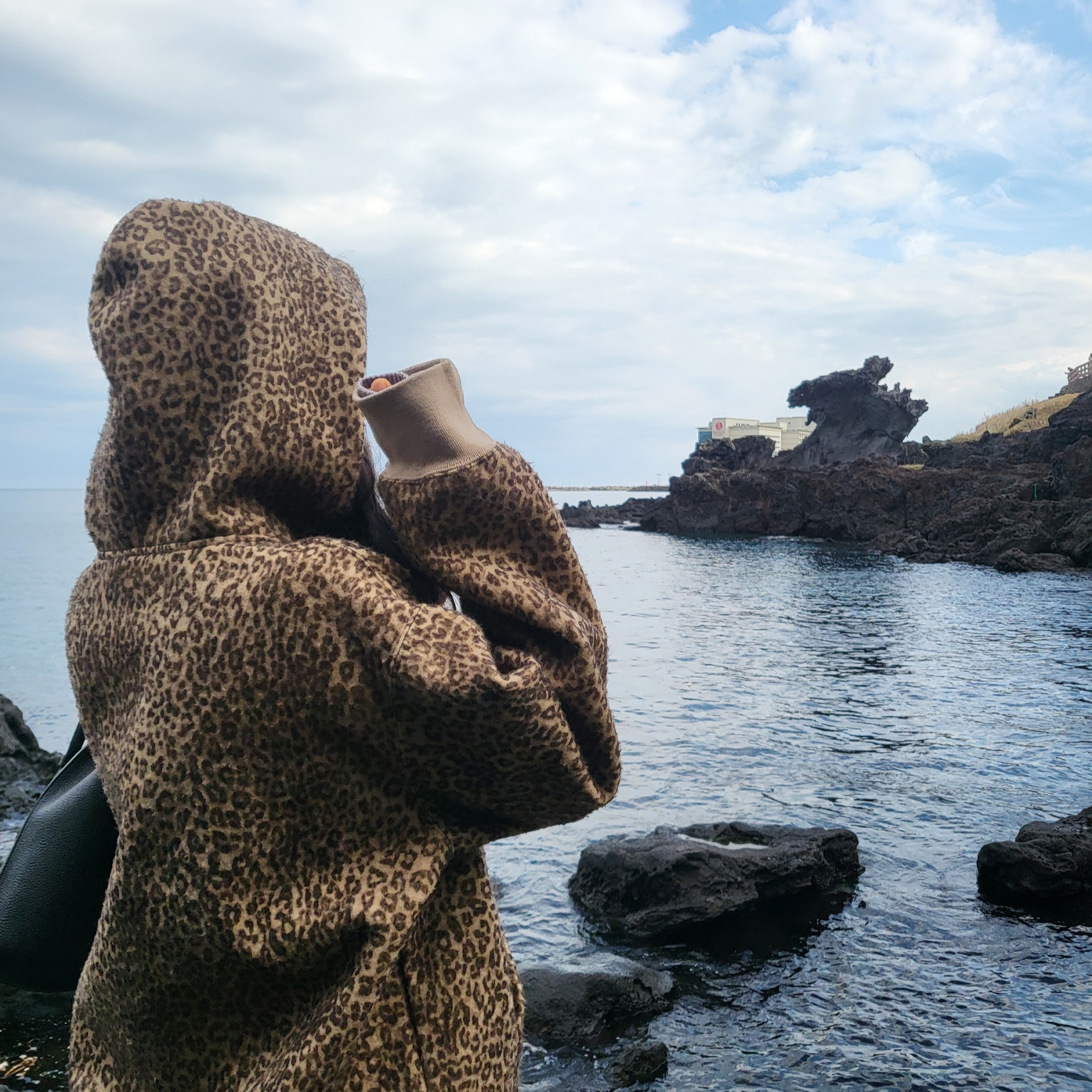 Supreme Pilled Zip Up Hooded Sweatshirt Cheetah - 24FW 착용 스타일 - 1