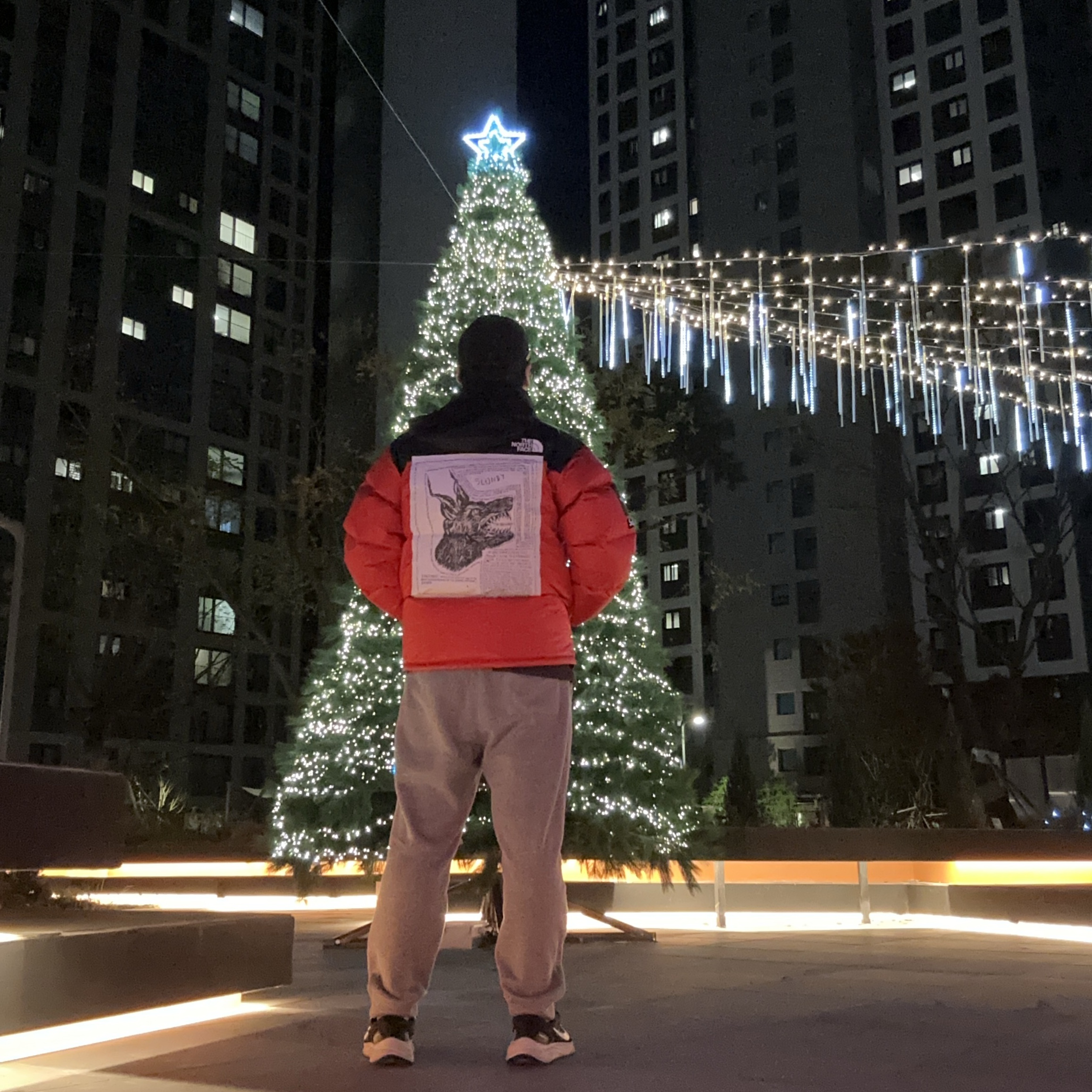 Supreme x The North Face Nuptse Jacket Red - 24FW 착용 스타일 - 1
