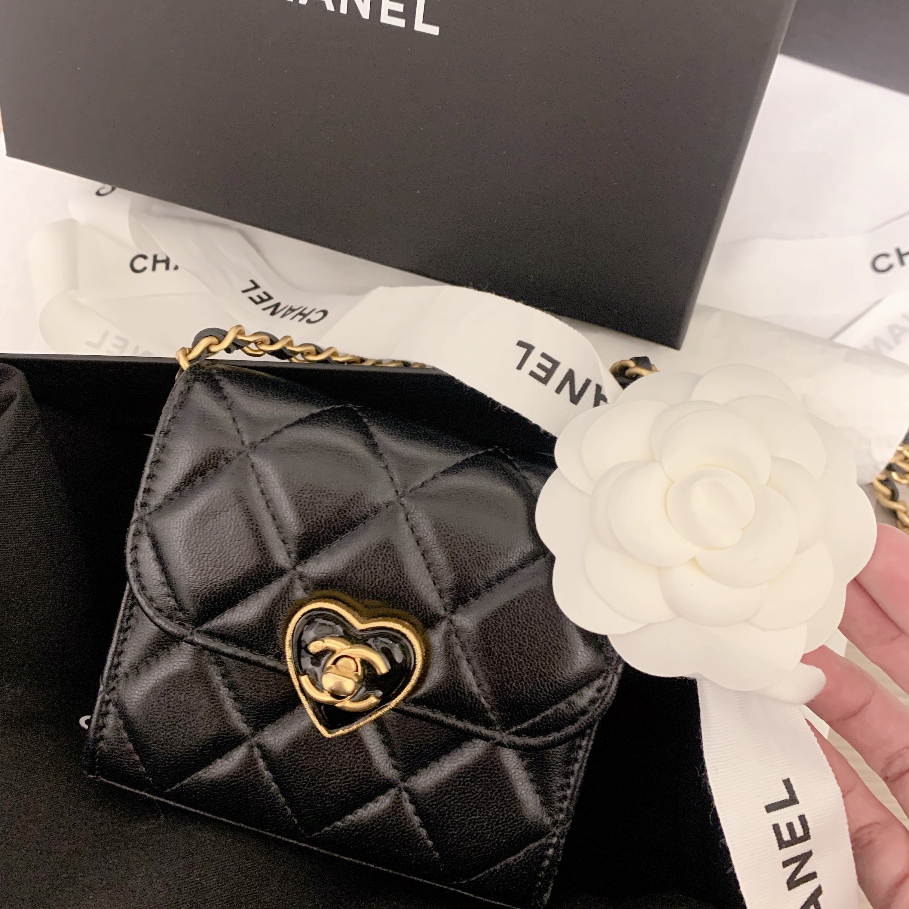 Chanel Clutch with Chain Lambskin Resin & Gold Dark Purple 착용 스타일