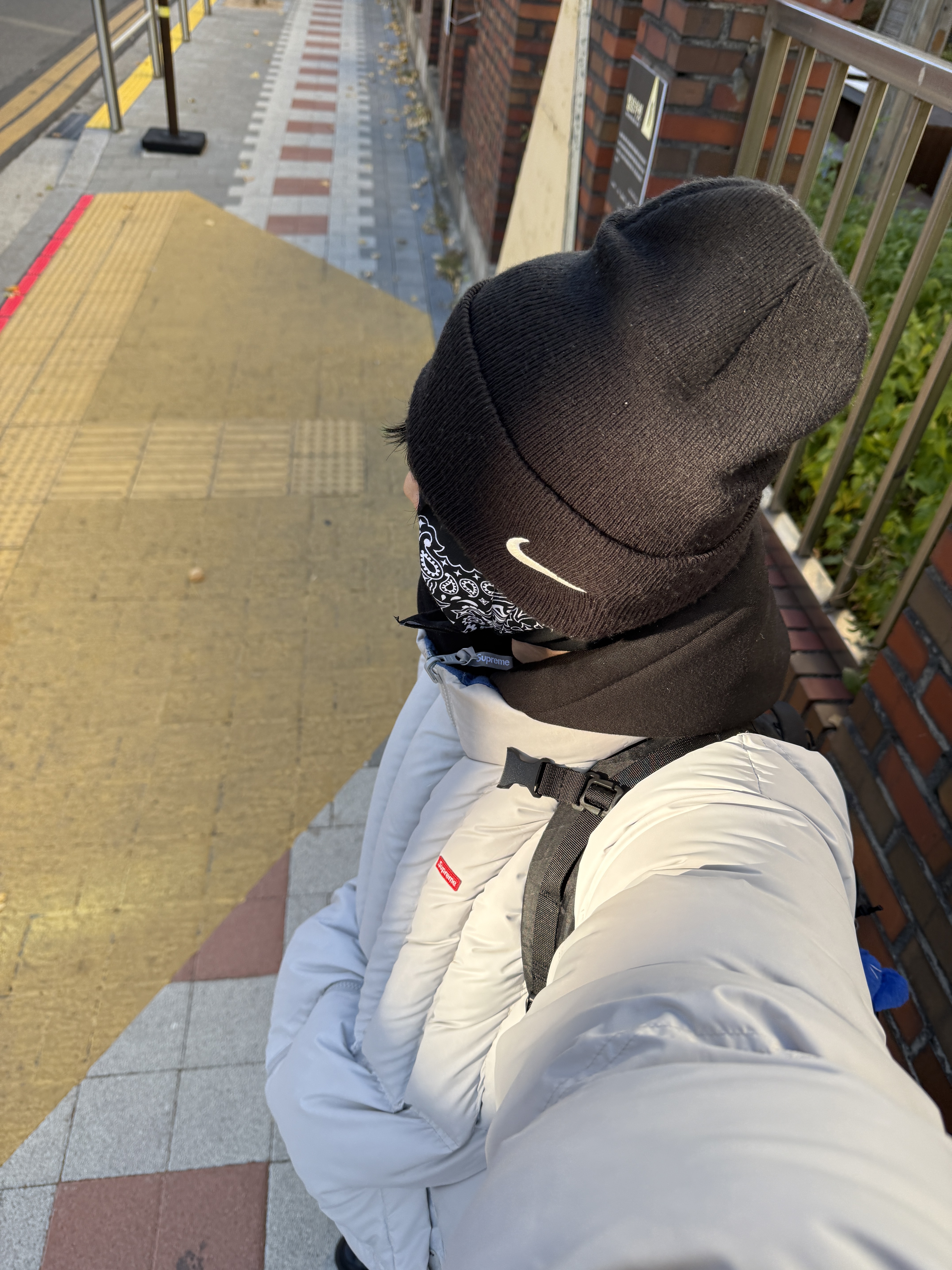Supreme Flannel Reversible Puffer Jacket Grey - 22FW, Supreme Backpack Black - 23FW 착용 스타일 - 3