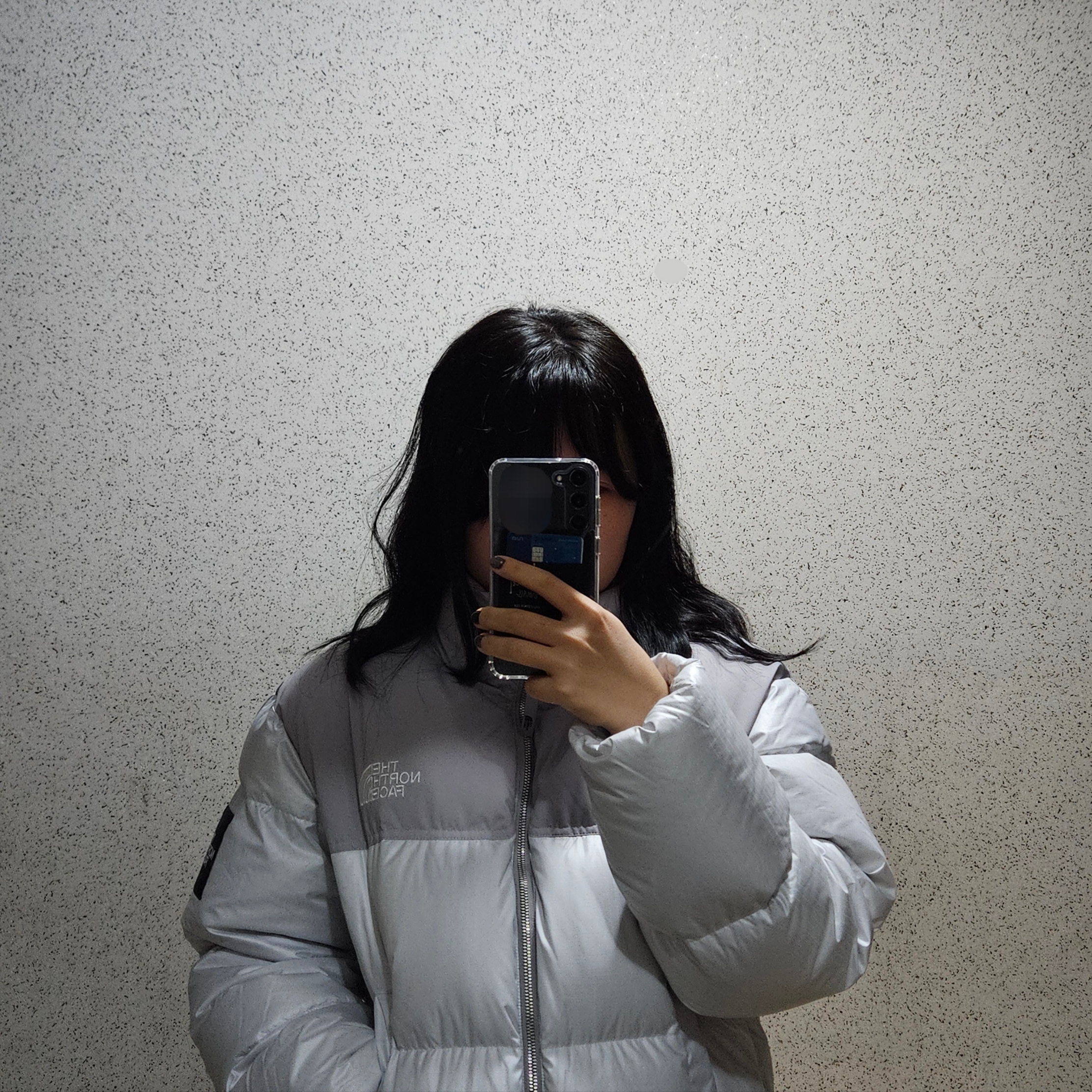 (W) The North Face White Label Novelty Nuptse Down Jacket Ice Gray 착용 스타일