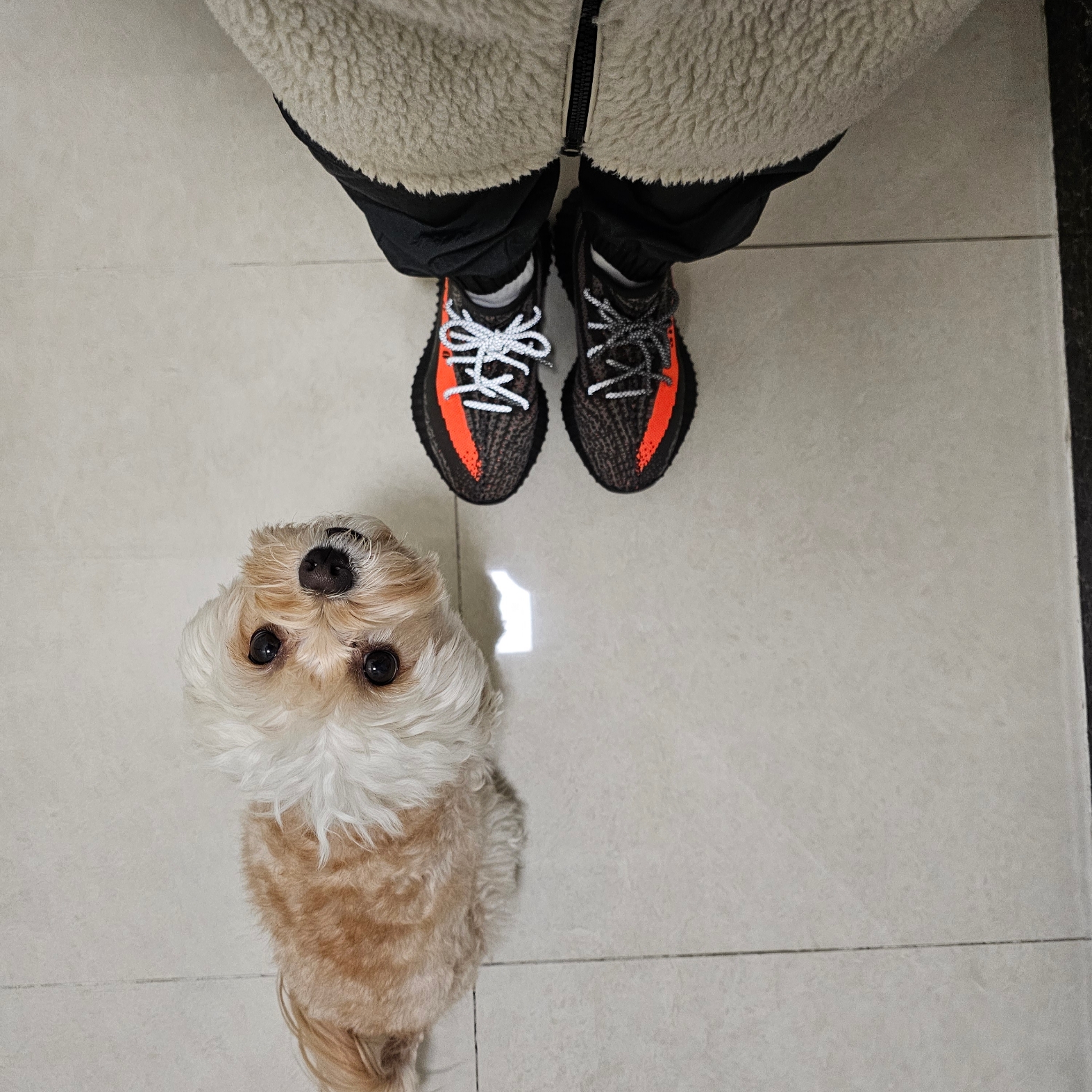 Adidas Yeezy Boost 350 V2 Carbon Beluga 착용 스타일